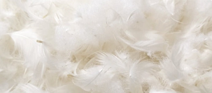 Leather Classic Genuine sofa.