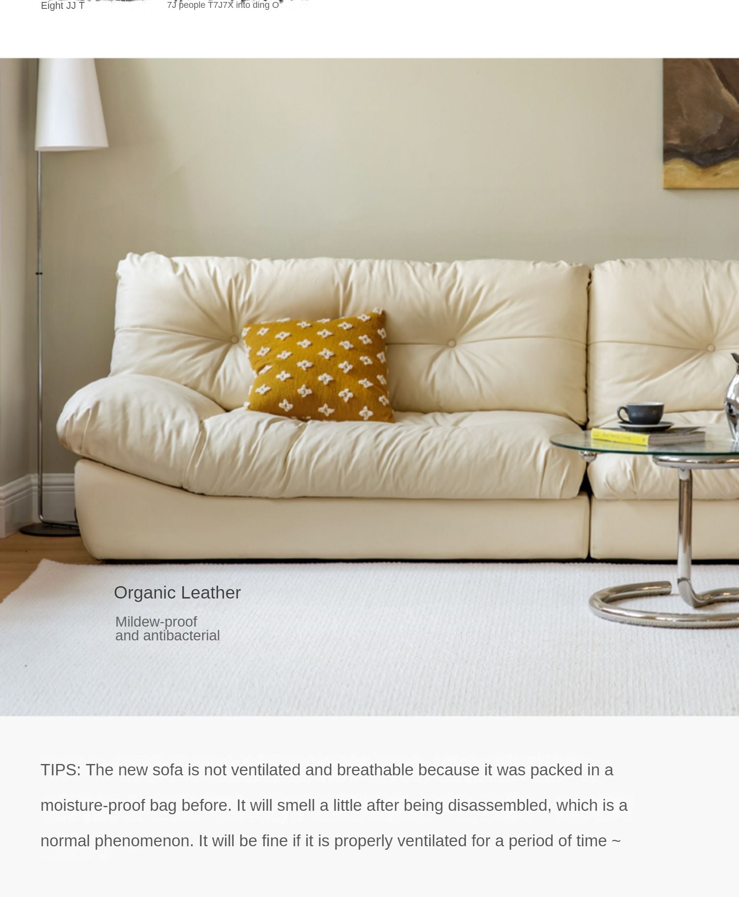 Fabric Italian Style Cloud Sofa With Russian Birch Wood Frame