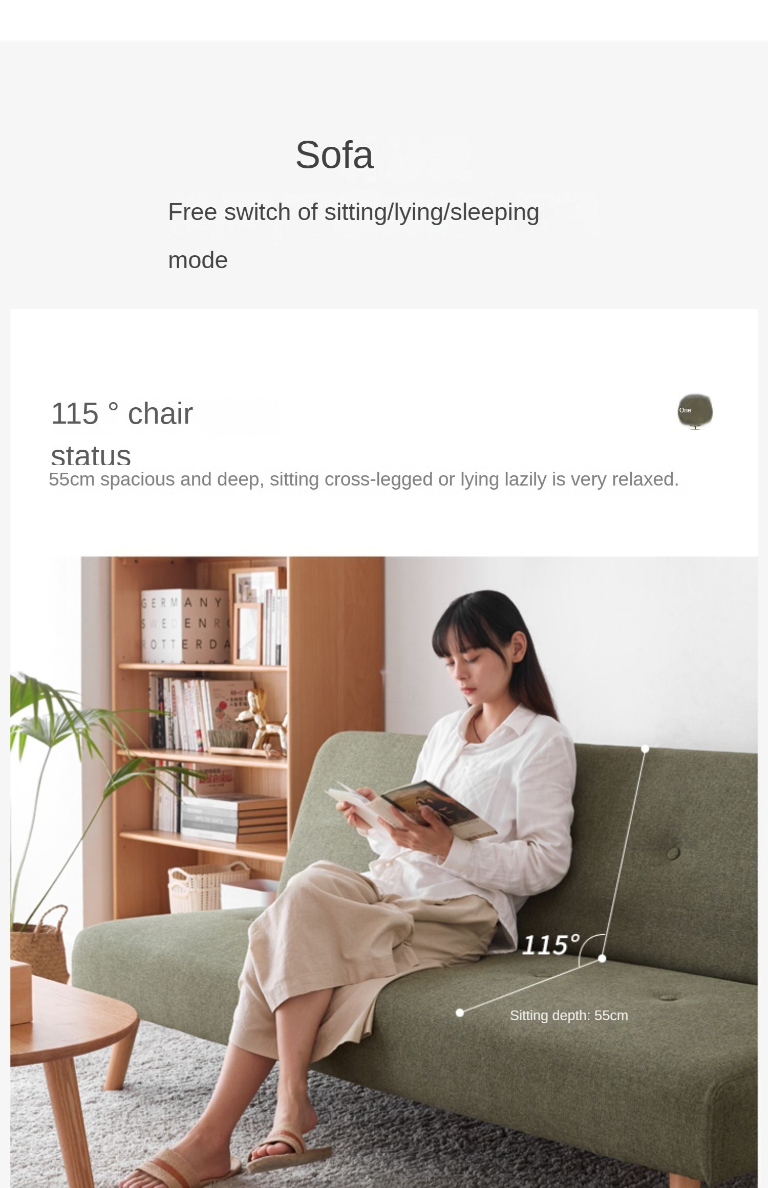 Beech Solid Wood Sleeper Sofa Modern Minimalist.