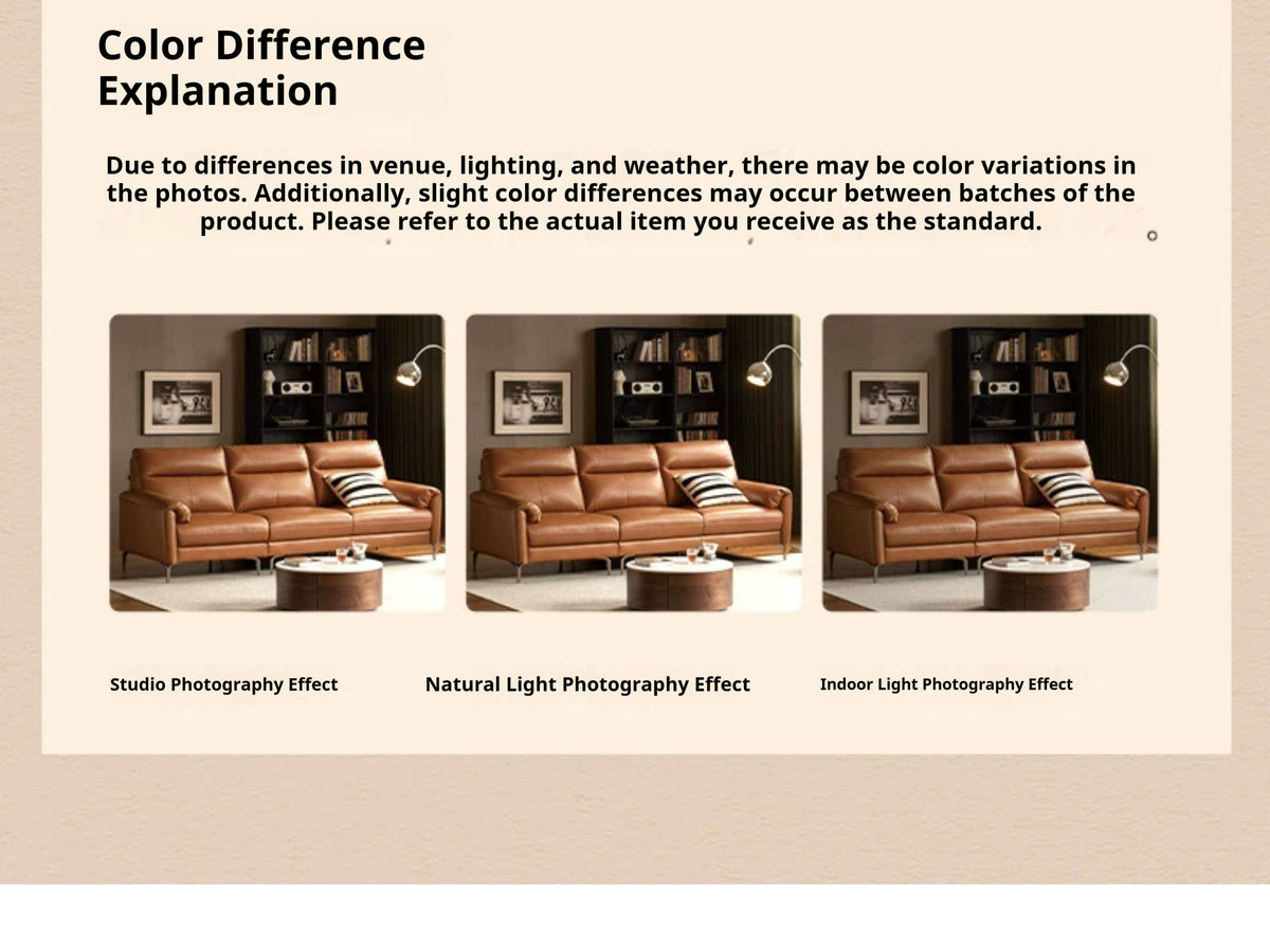 Genuine Leather Italian Normcore Modern Sofa