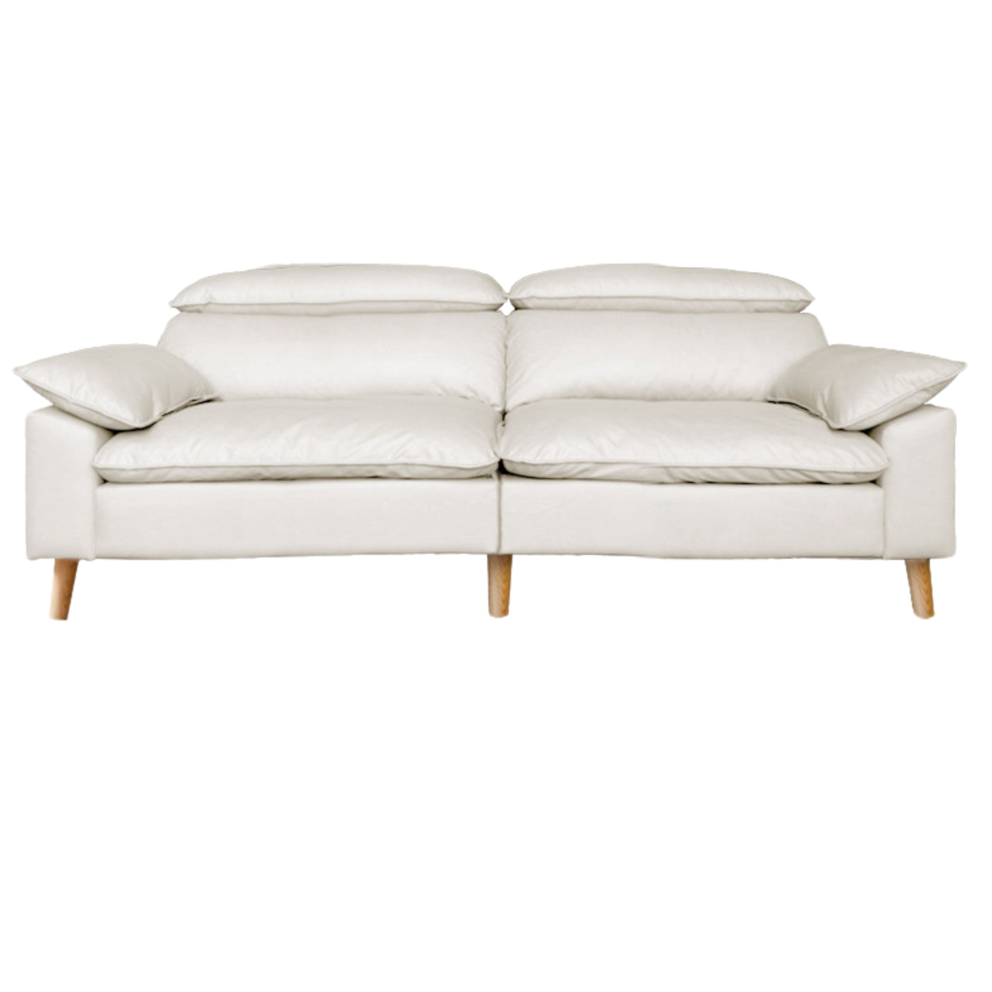 Ash Fabric Sofa Living Room