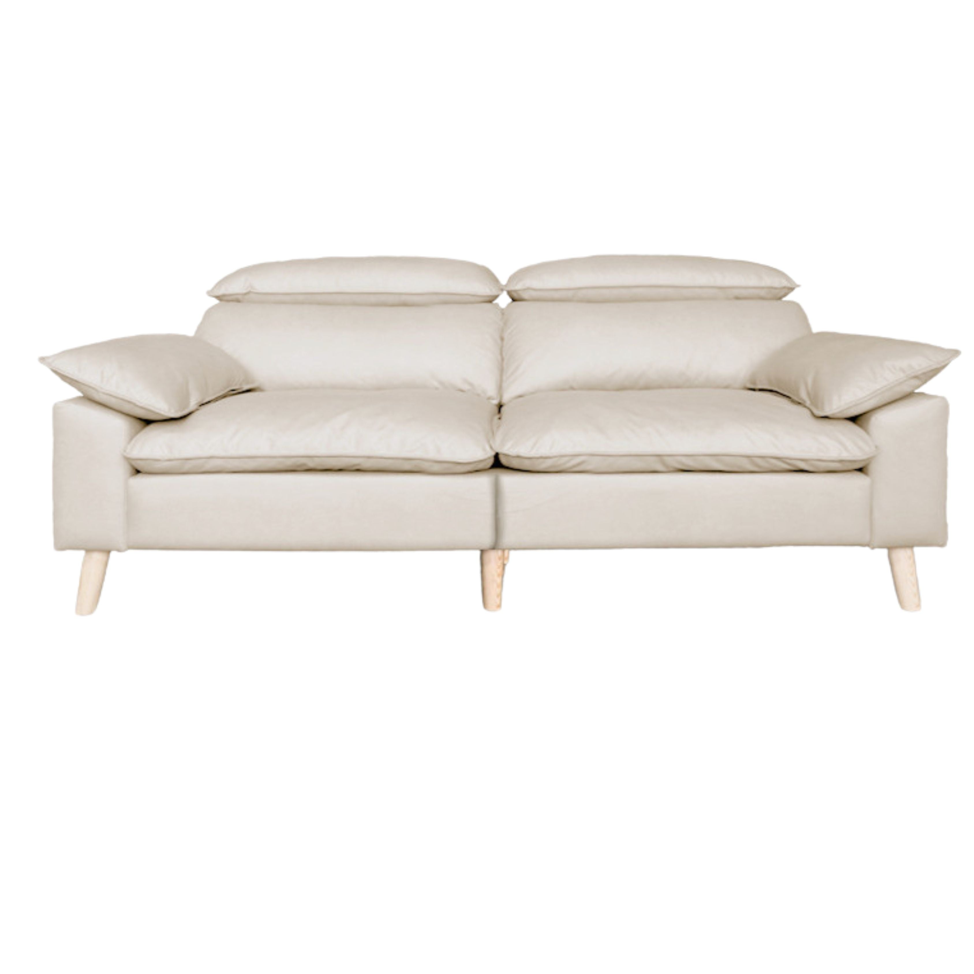 Ash Fabric Sofa Living Room