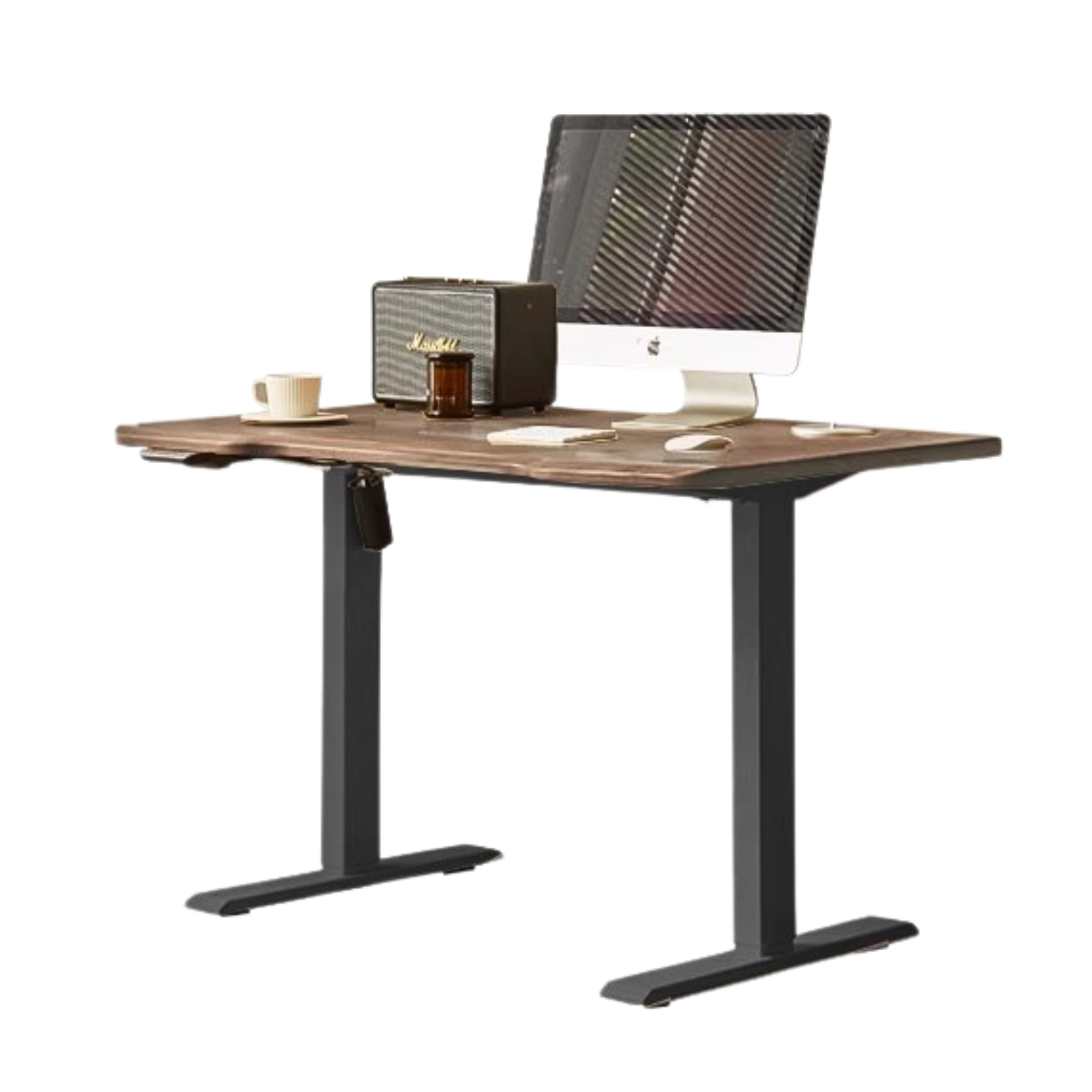 Ash, Black walnut solid wood electric lift Standing desk