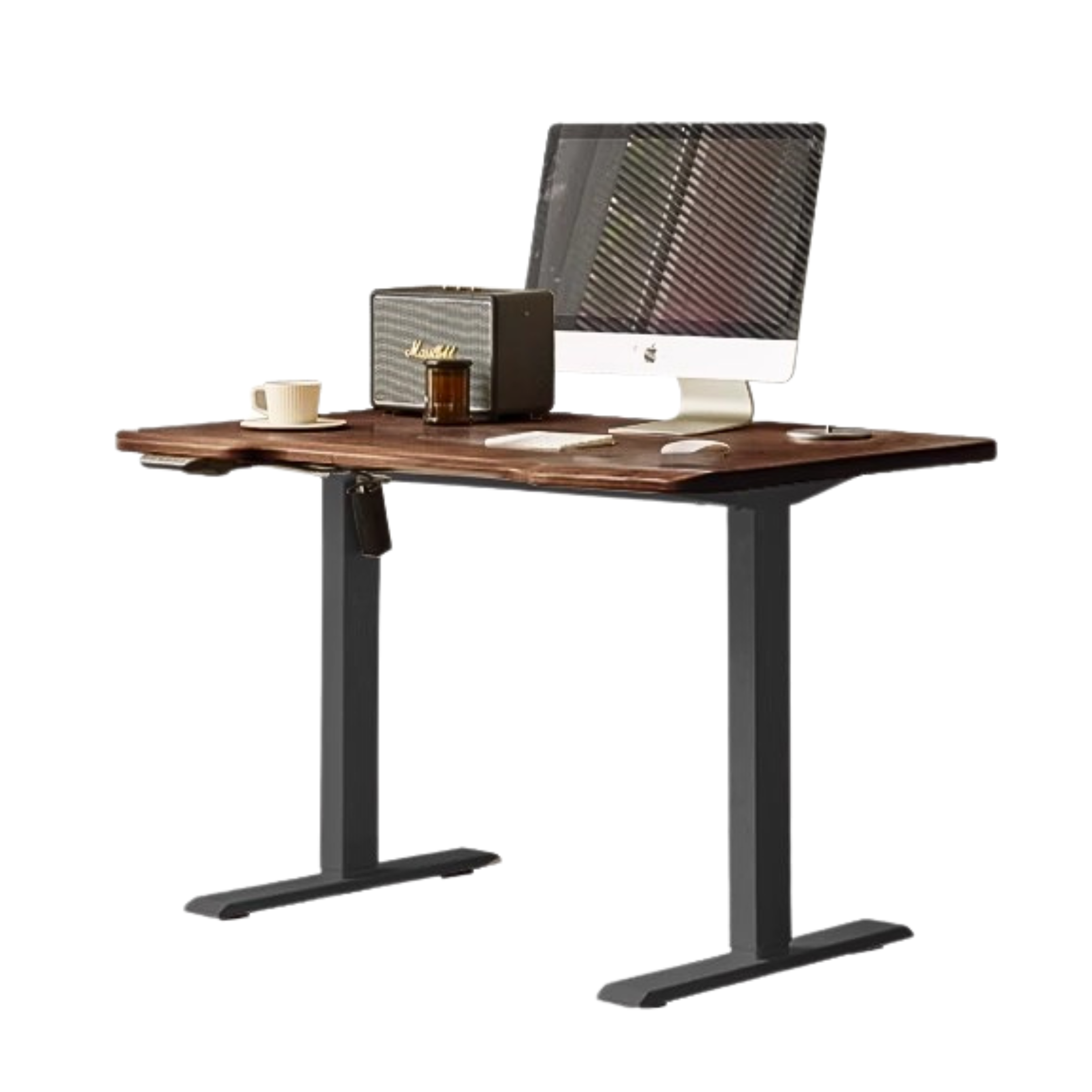 Ash, Black walnut solid wood electric lift Standing desk