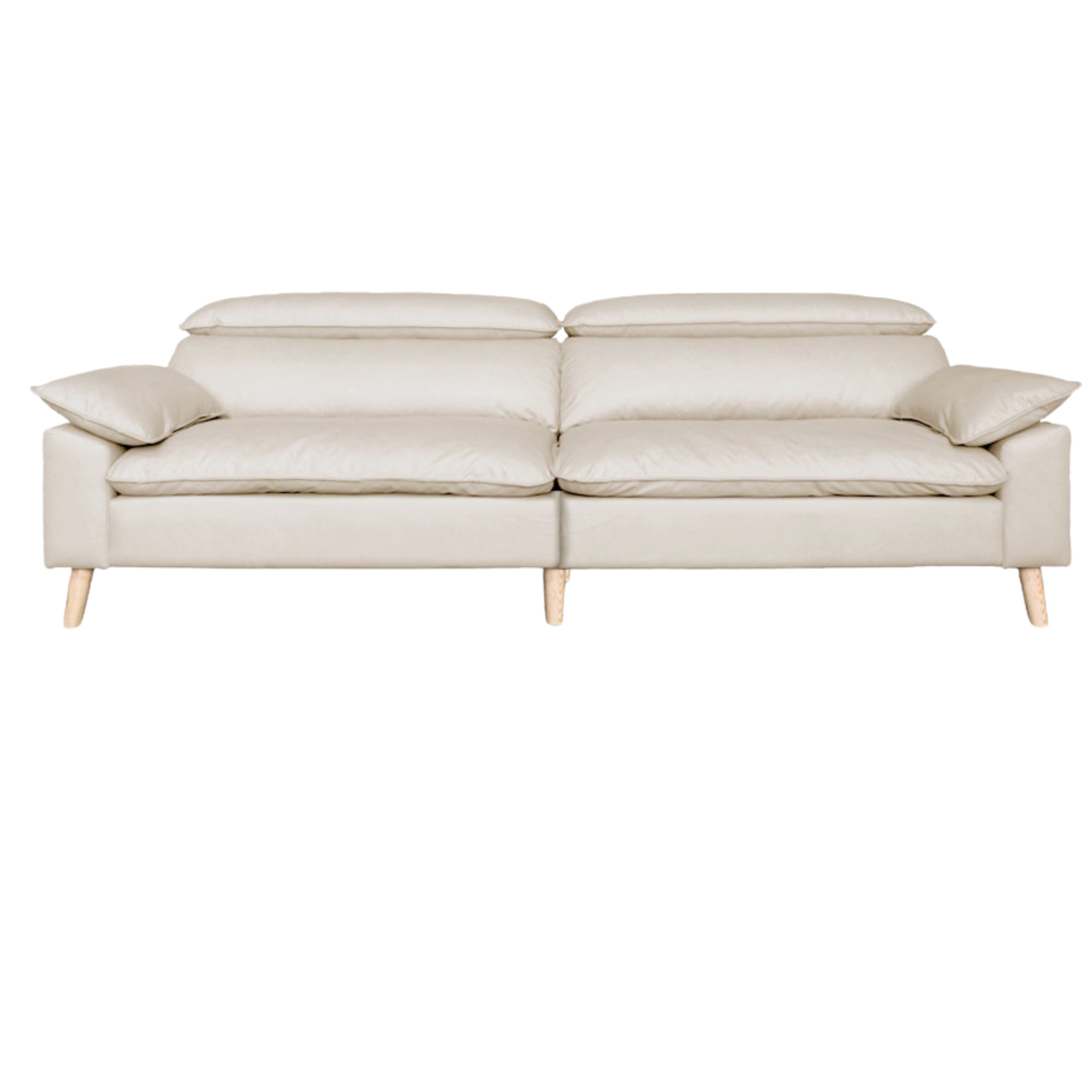 Ash Fabric Sofa Living Room