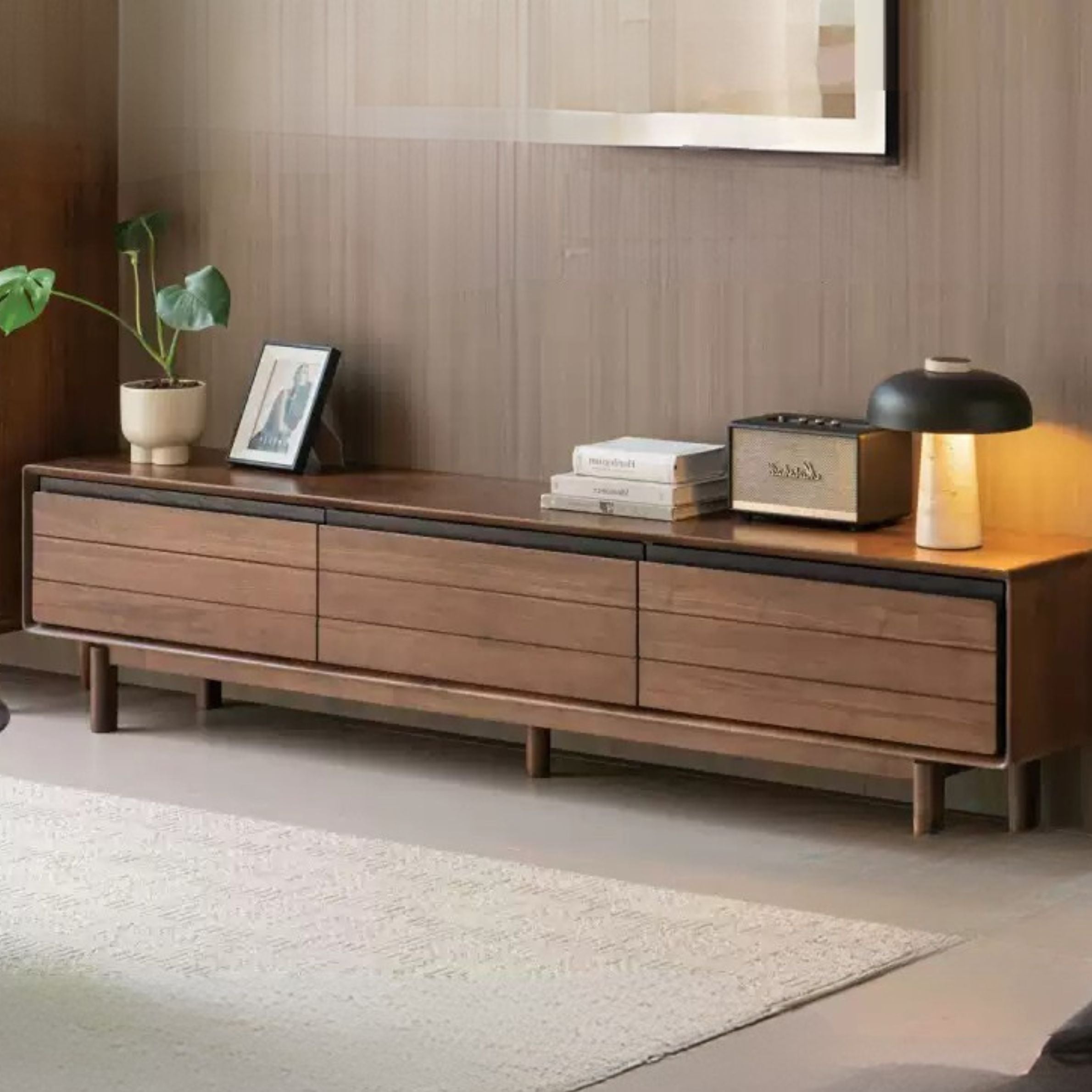 Black Walnut Solid Wood Floor Modern TV Cabinet