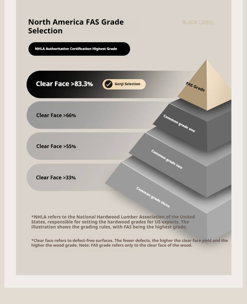 Black Walnut Solid Wood Italian Light Luxury Electric Suspended Box Bed