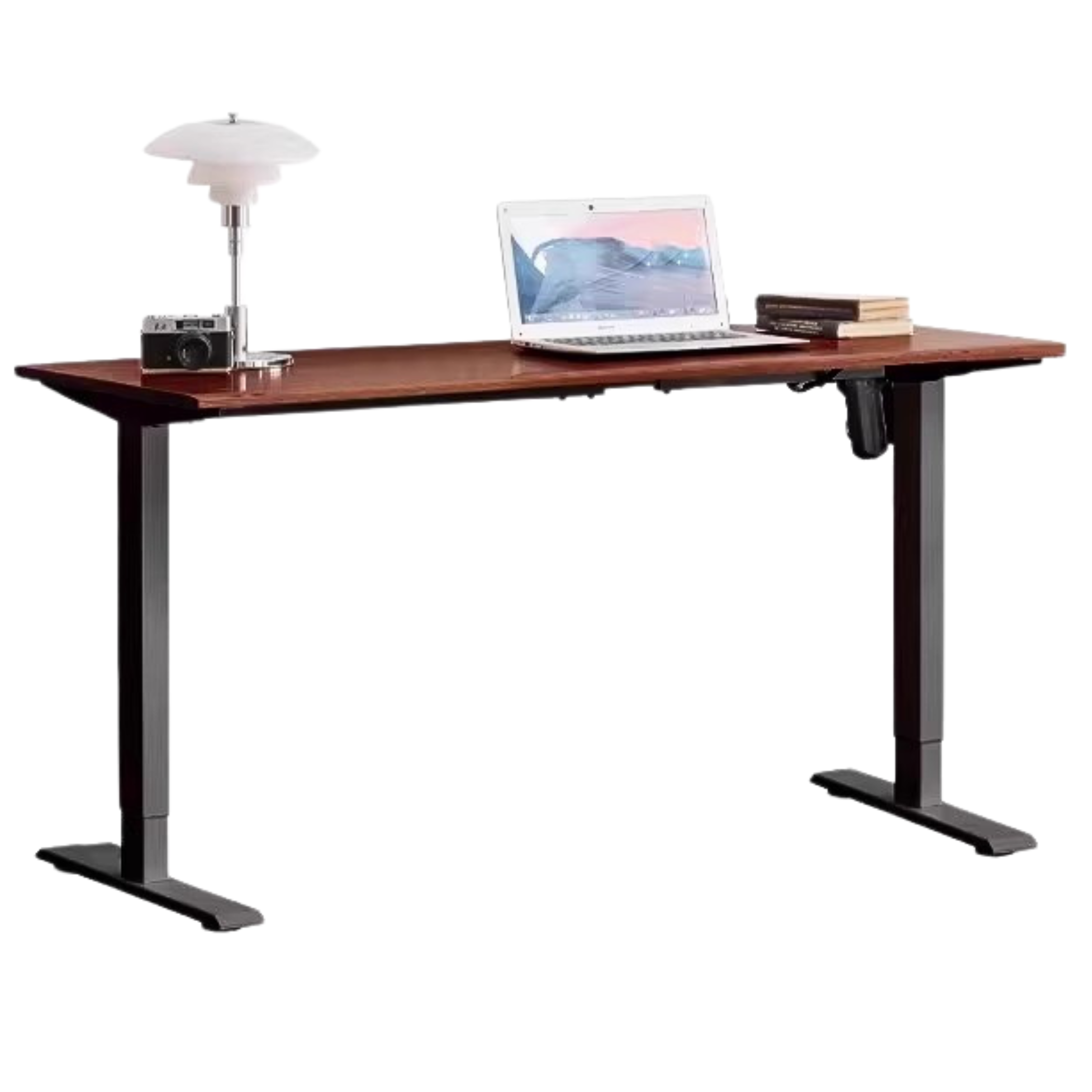 Black Walnut, Oak Solid Wood Standing Desk, Sit-Stand Electric Lift Table
