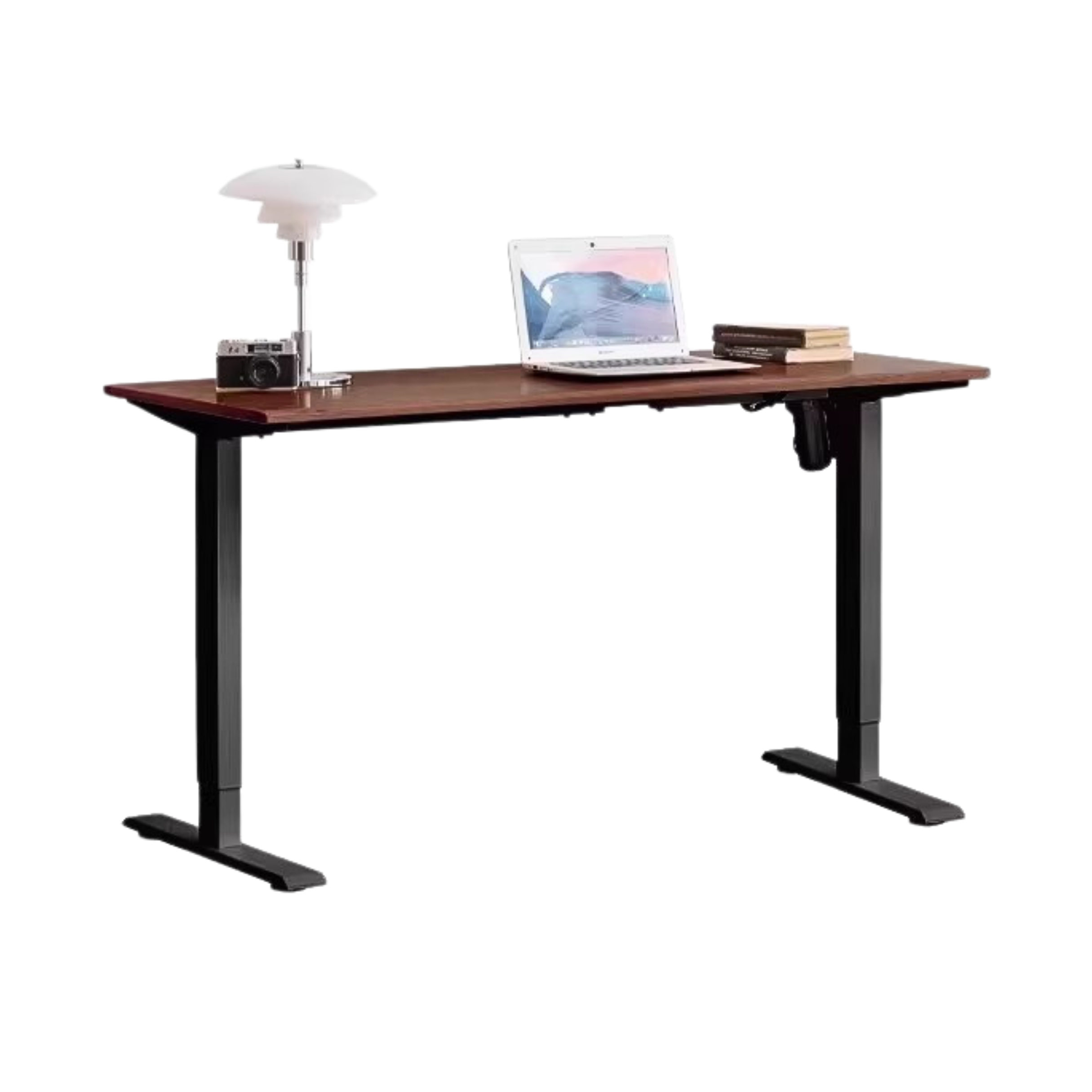 Black walnut ,Oak solid woof standing desk, Sit-Stand electric lift Table