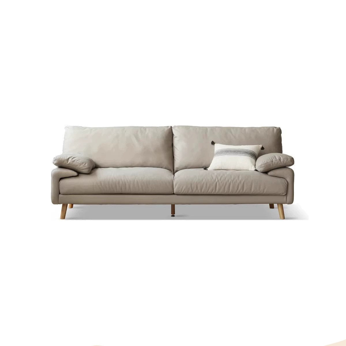Technology Cloth Modern Simple Down Sofa+