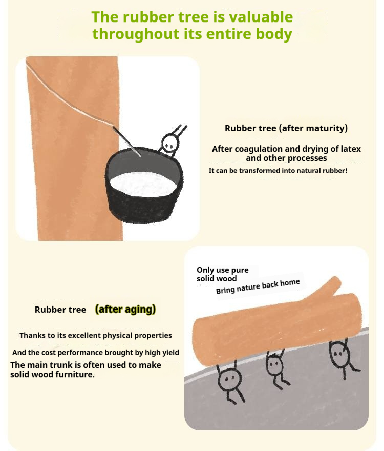 Rubberwood Solid Wood Children's White Storage Box Bed