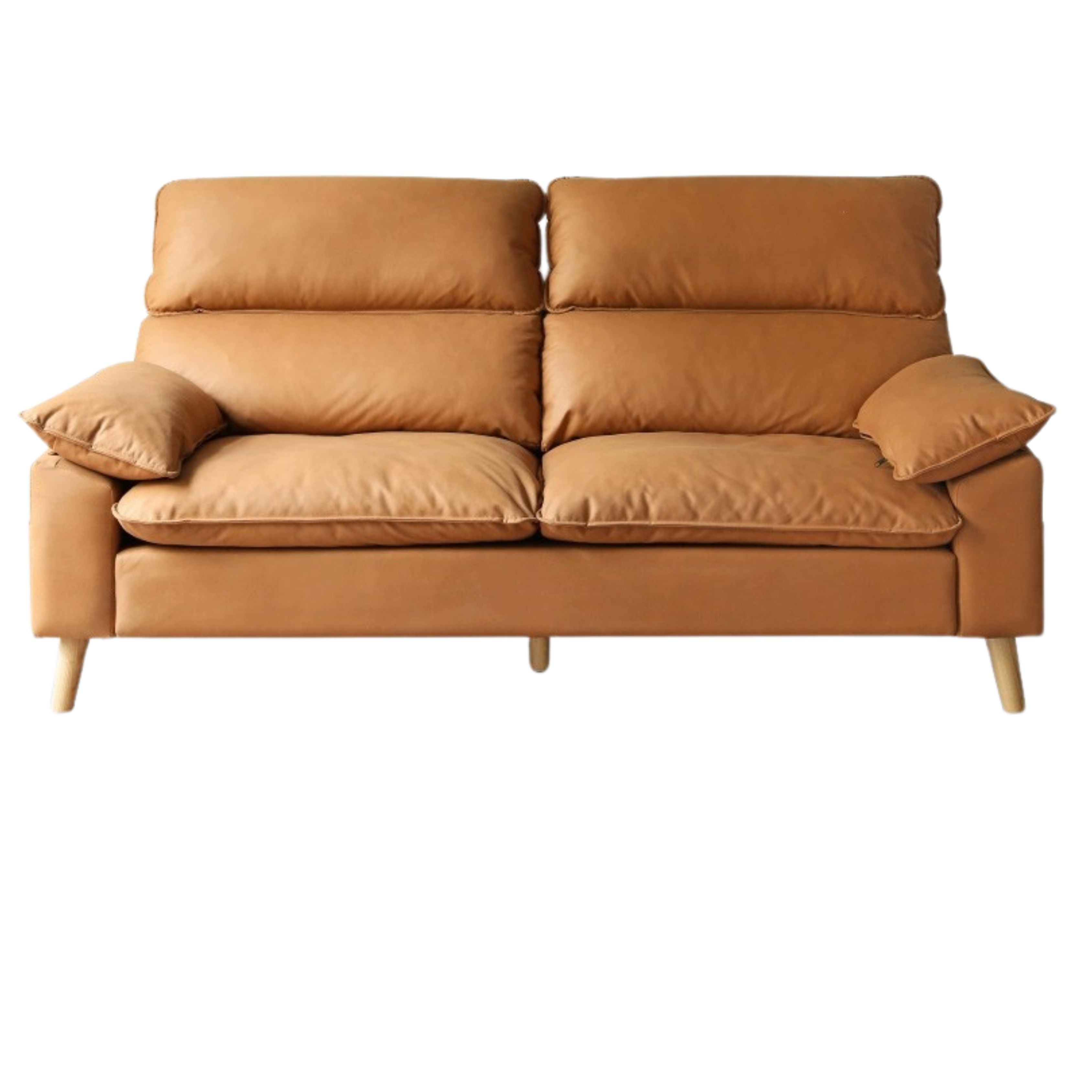 Ash Fabric Sofa Living Room