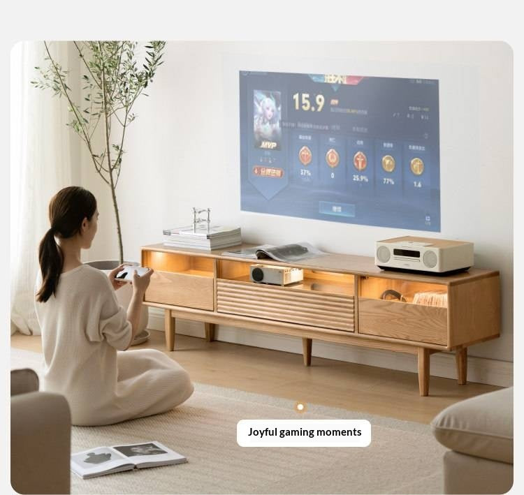 Ash Solid Wood Floor Modern Rock Board TV Cabinet.