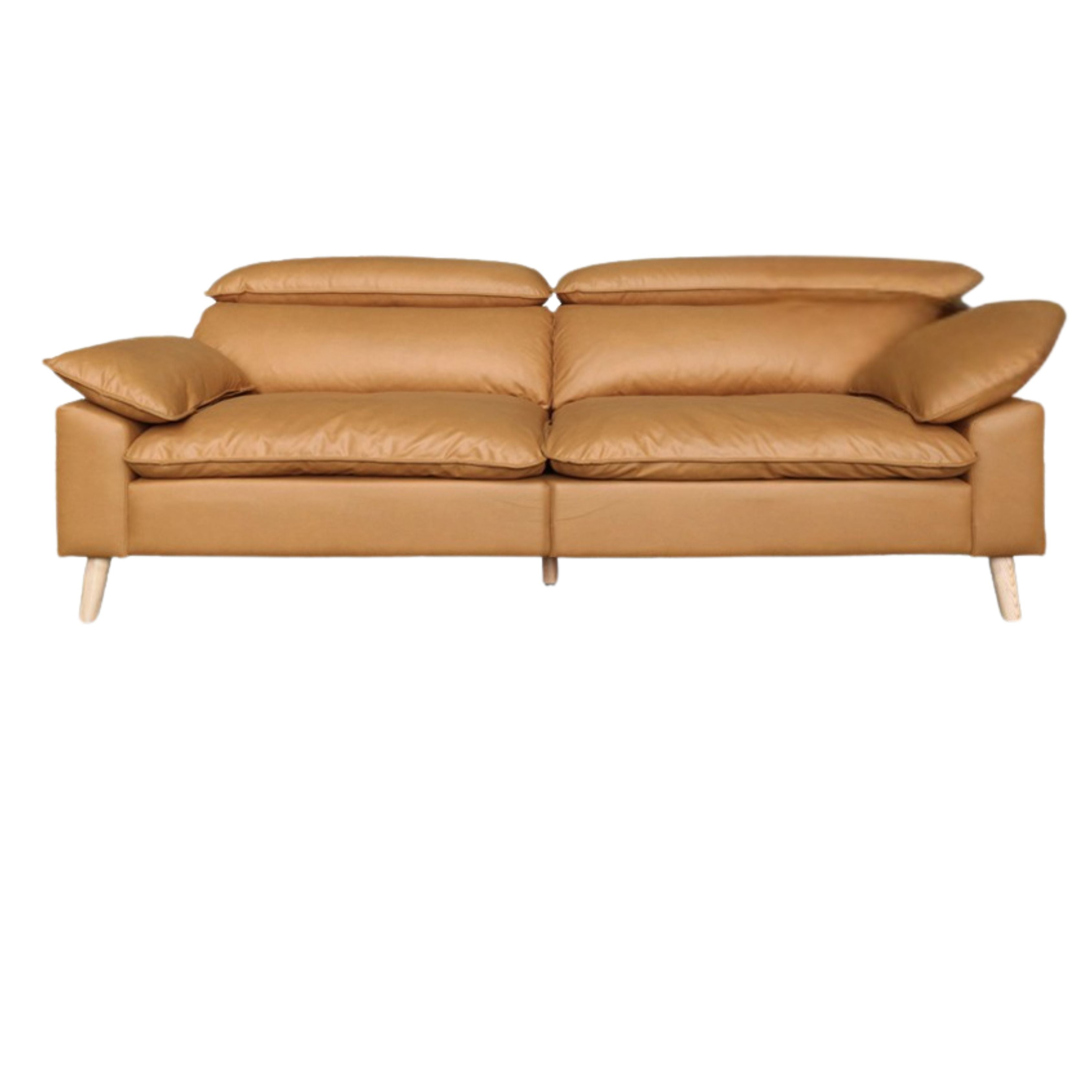 Ash Fabric Sofa Living Room