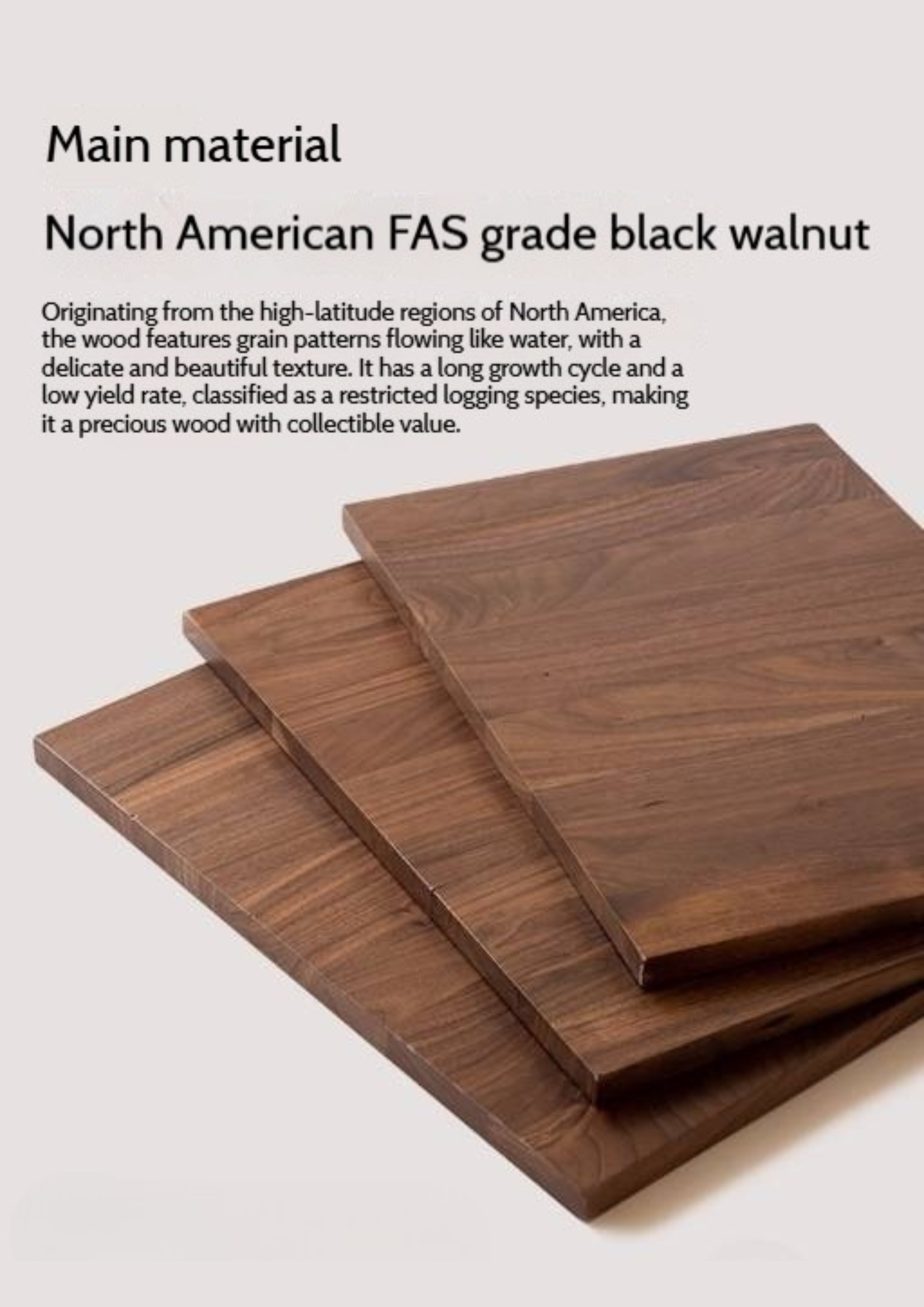 Black Walnut Solid Wood Modern Side Cabinet