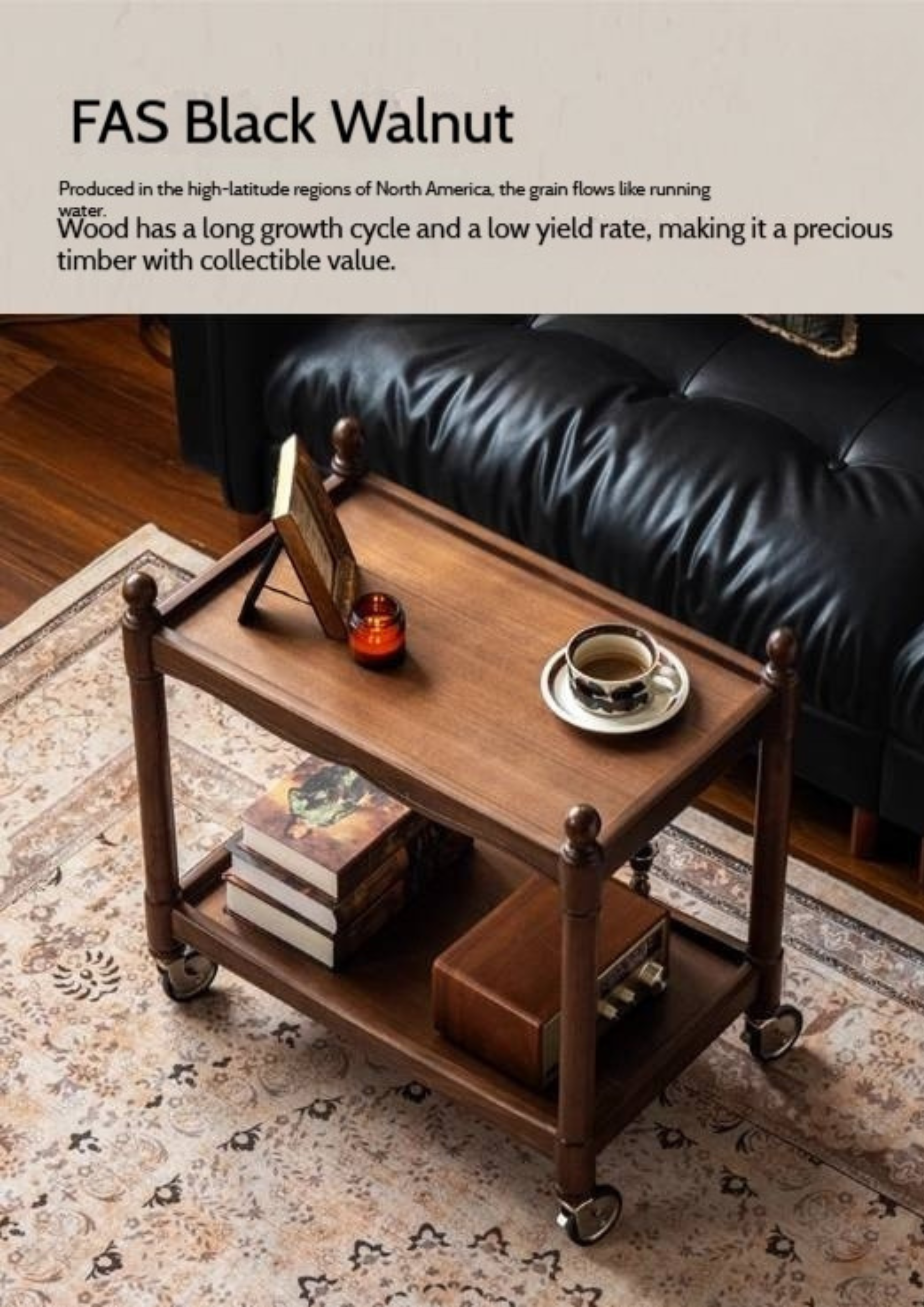 Black Walnut Solid Wood American Retro Mobile Side Table