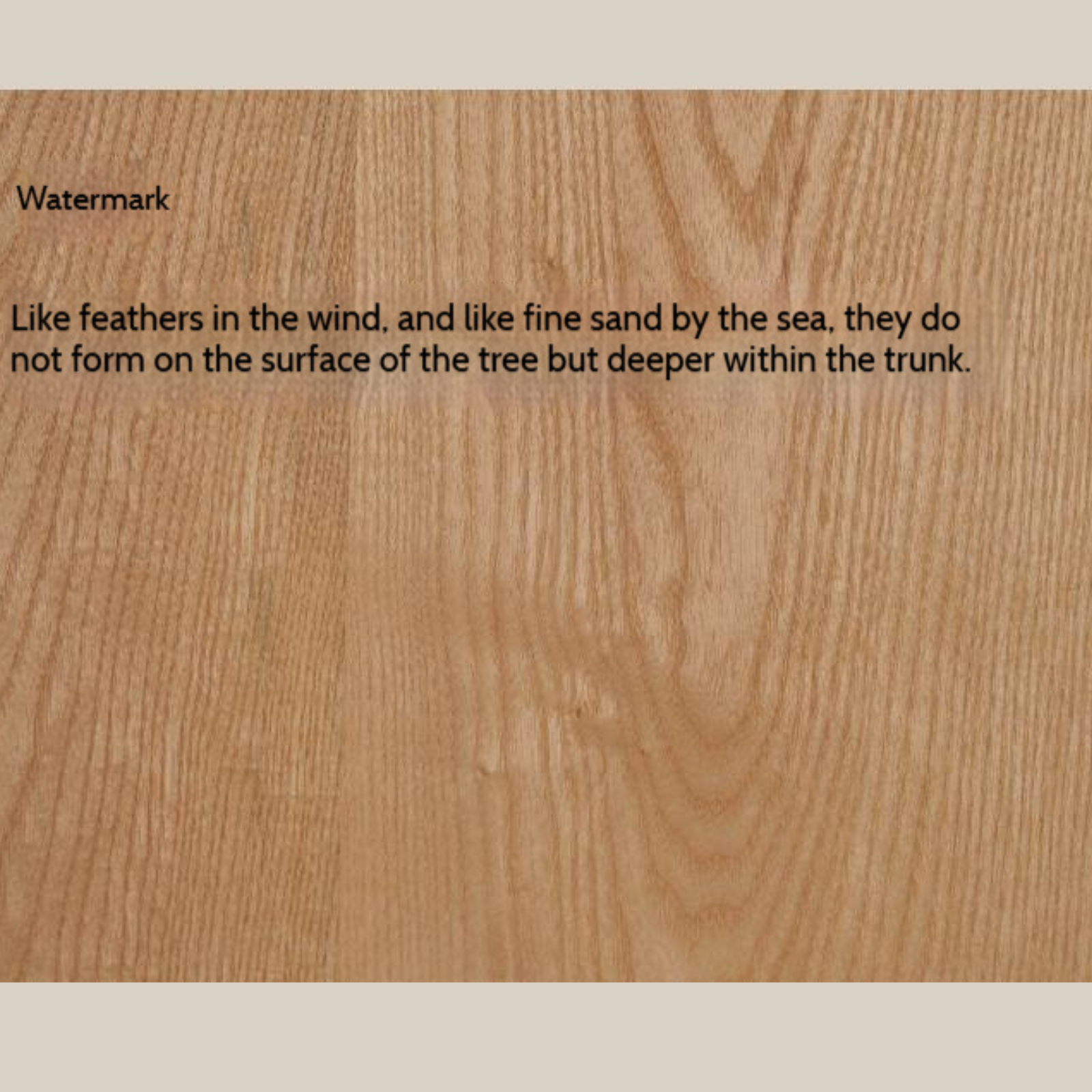 Ash, Oak, Elm Solid Wood Wabi Sabi Style Dining Table