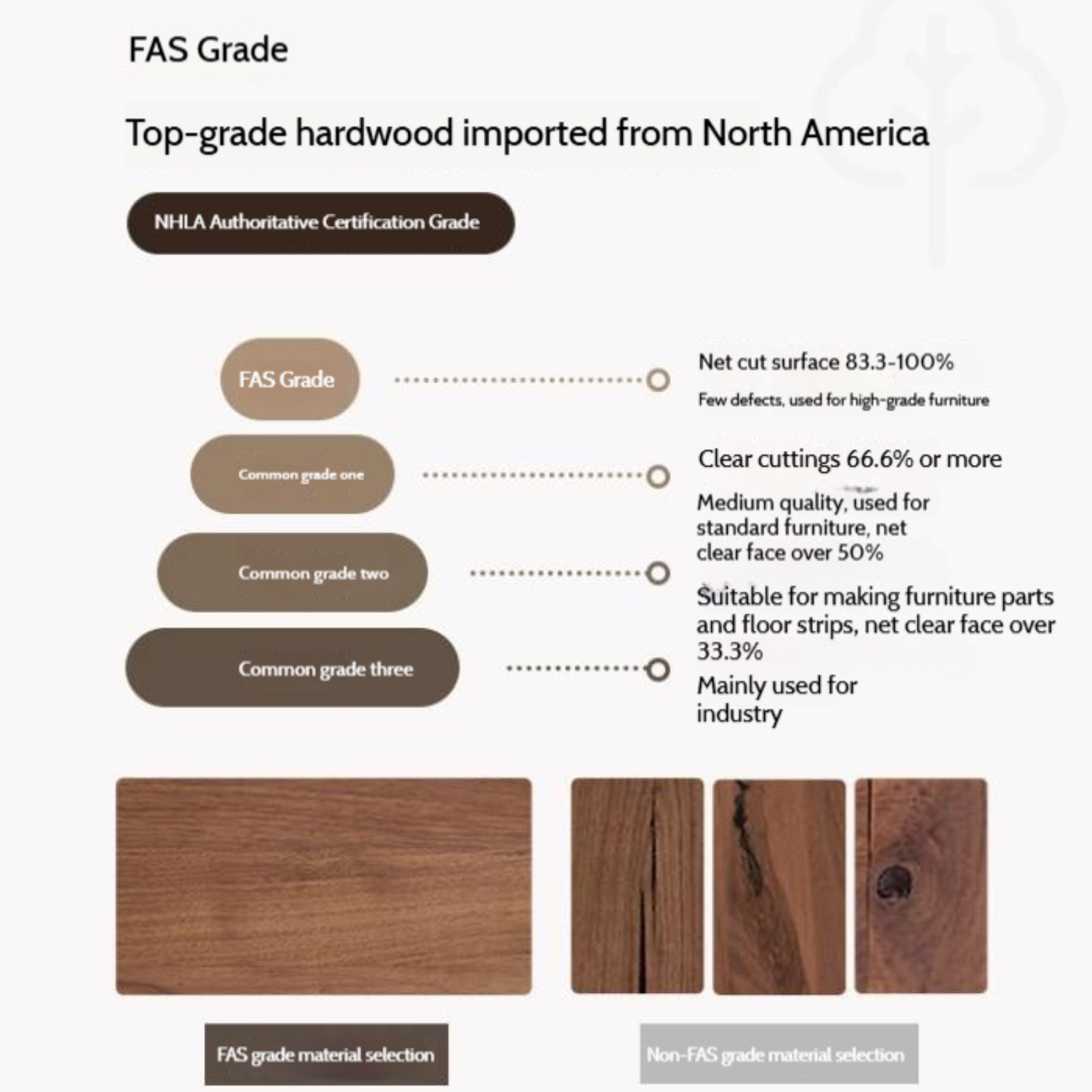 Black Walnut, Oak Solid Wood Italian Light Luxury Shoe Cabinet