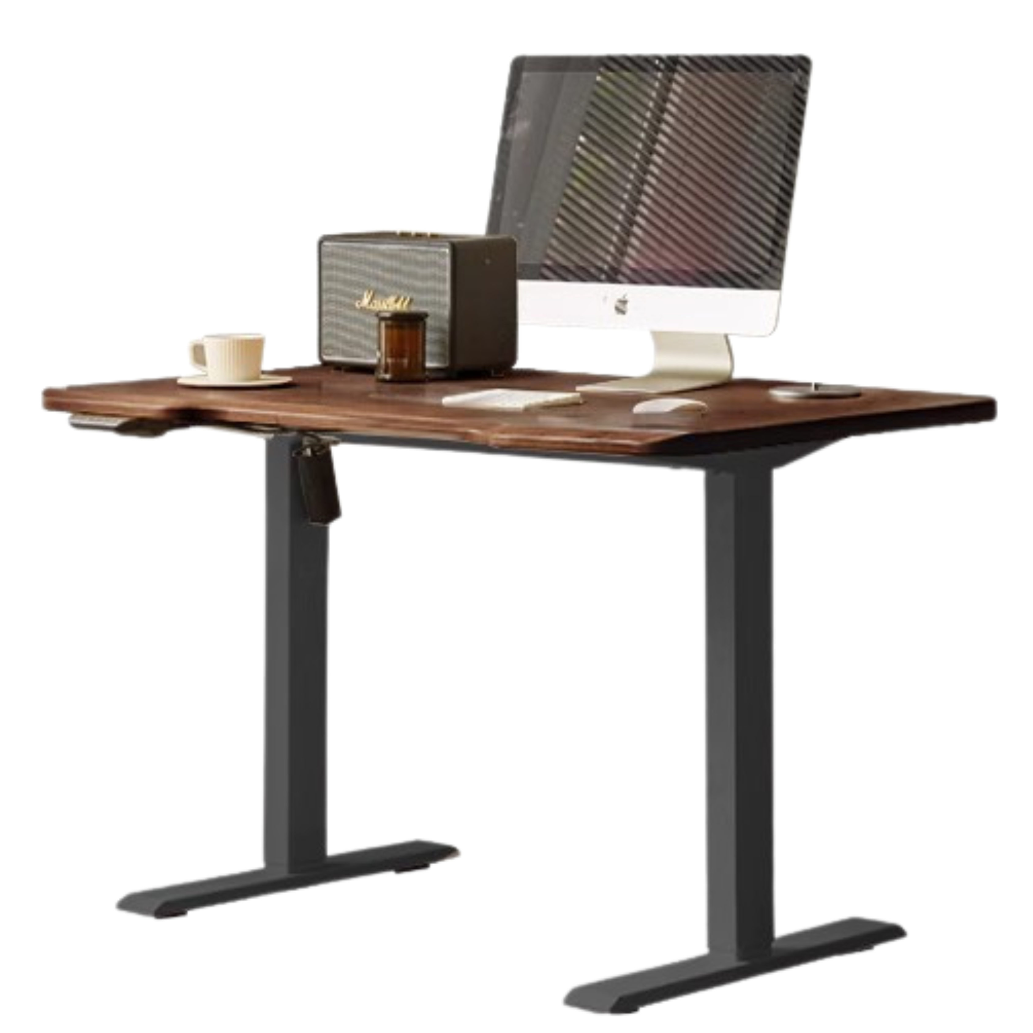 Black Walnut Solid Wood Electric Elevating Office Desk