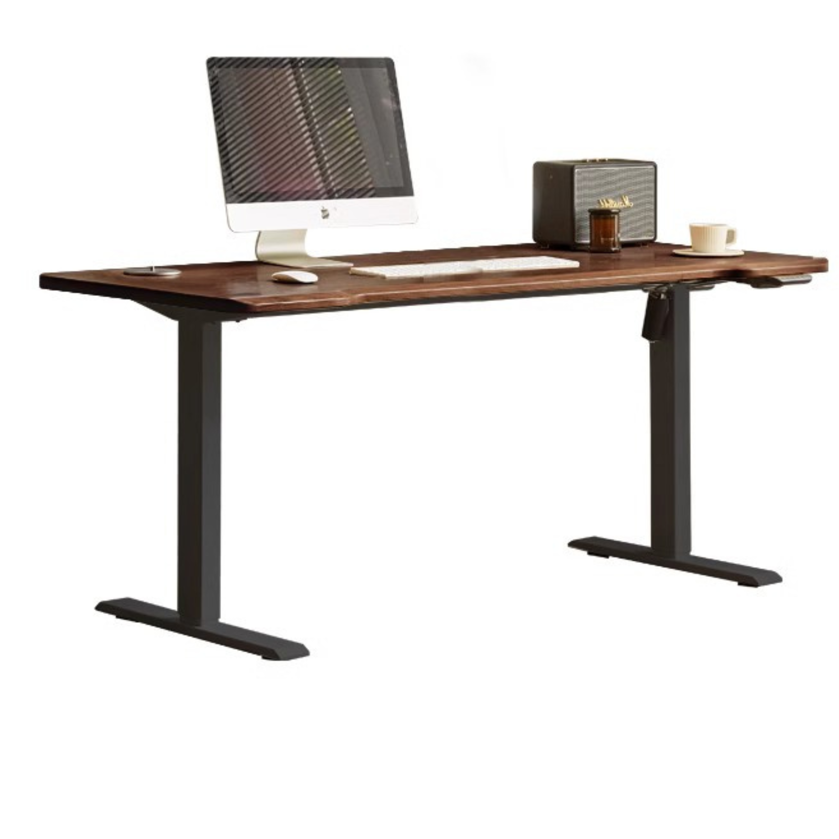 Black Walnut Solid Wood Electric Elevating Office Desk