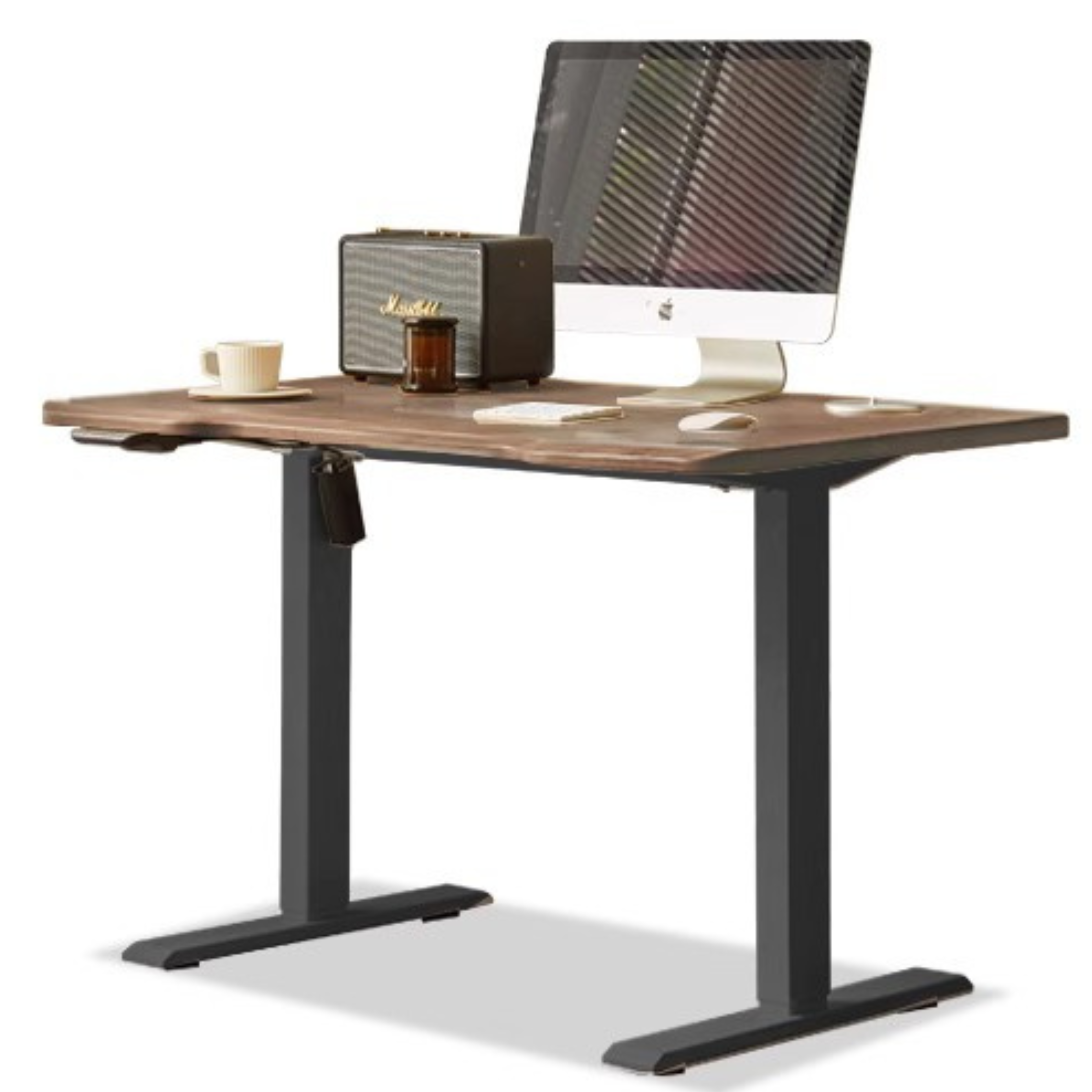 Black Walnut Solid Wood Electric Elevating Office Desk