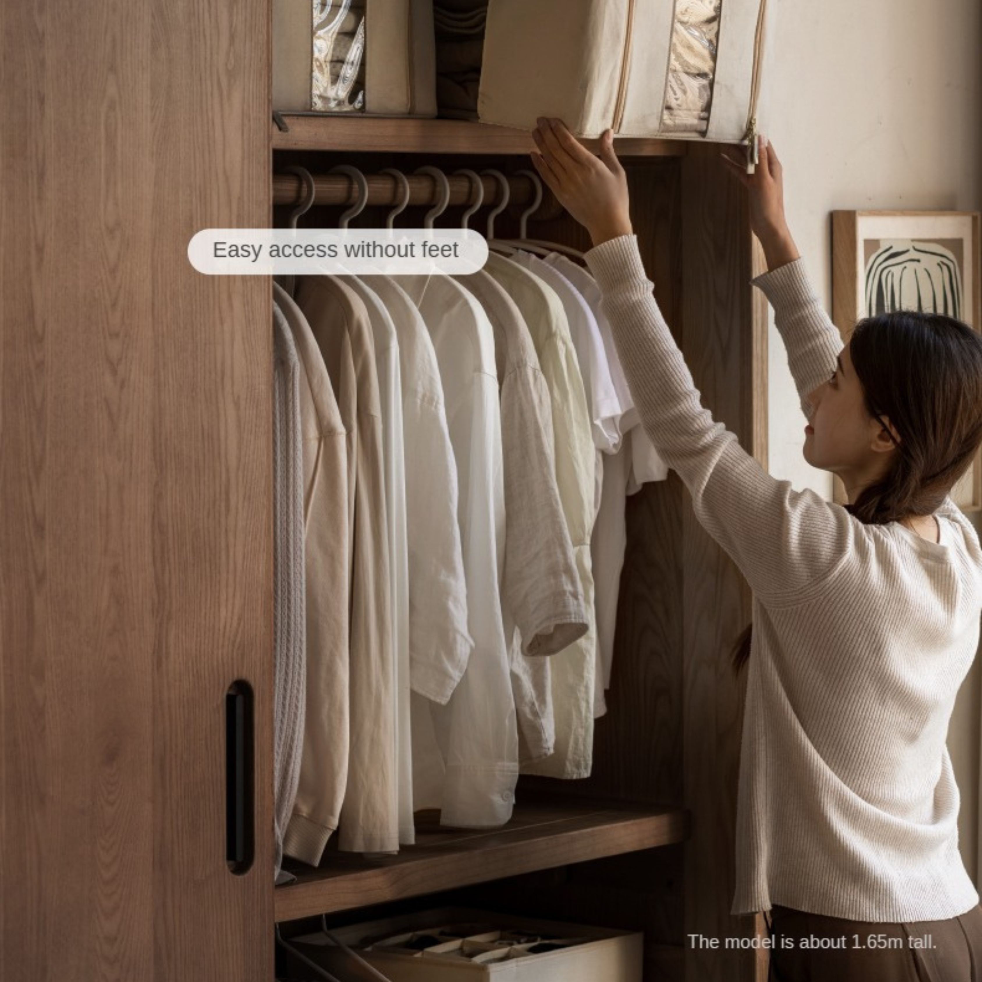 Black Walnut Solid Wood Wardrobe Sliding Door