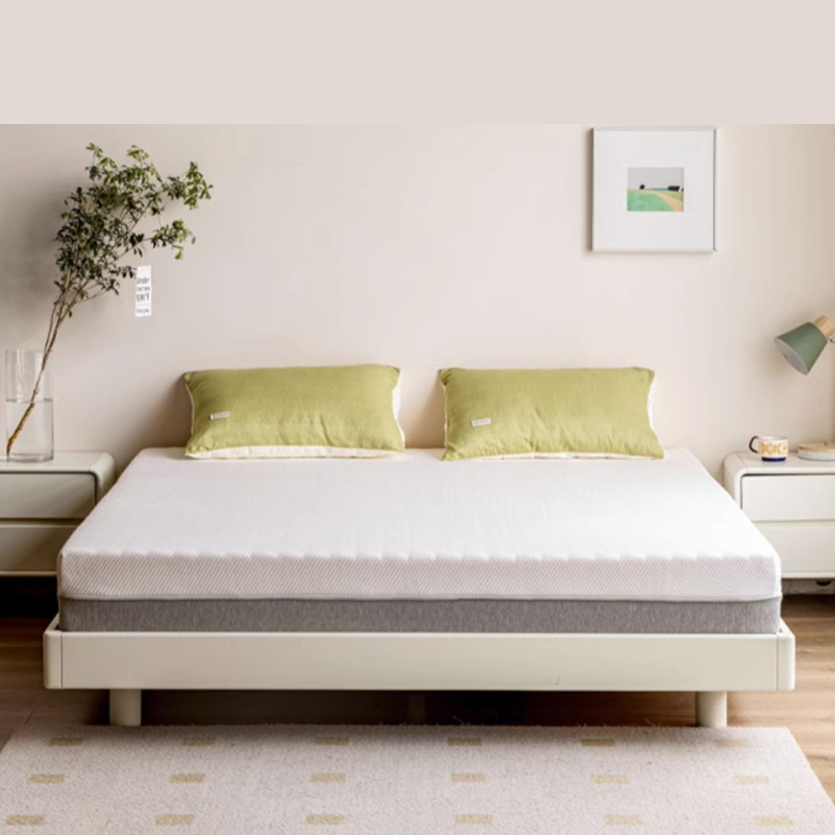 Spring Simmons cushion antibacterial anti-mite Power sponge moderate mattress