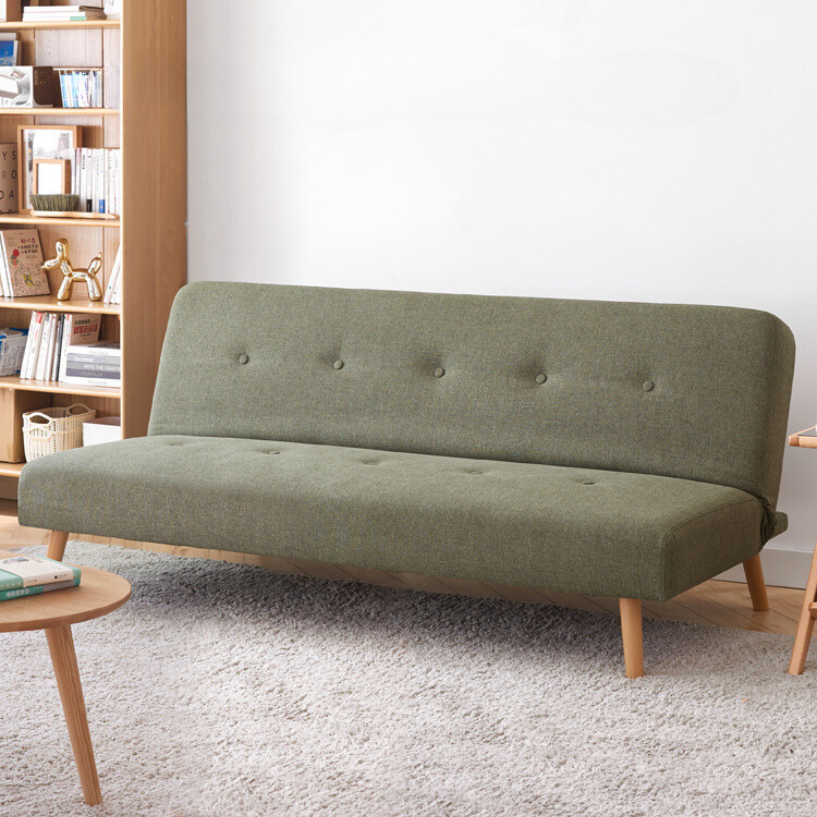 Sleeper sofa modern minimalist
