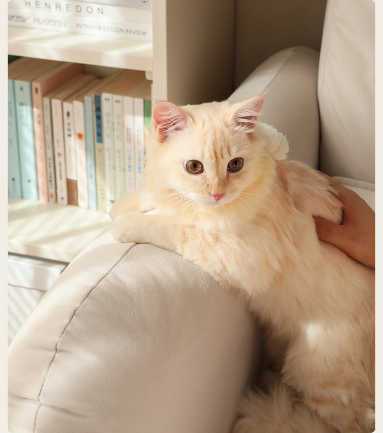 Fabric Sofa, Cat Scratchy Cloth Cream Style