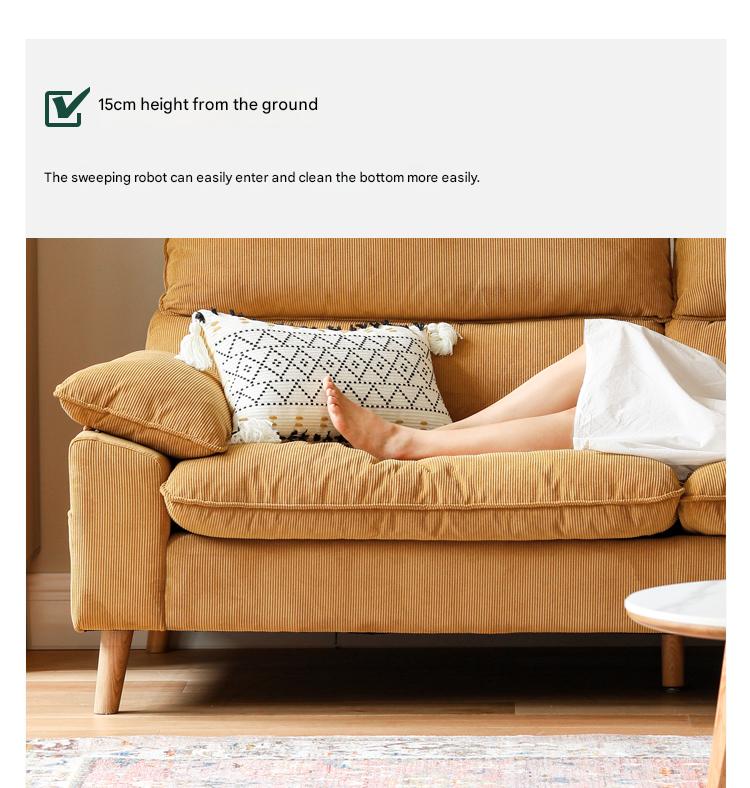 Ash Fabric Sofa Living Room