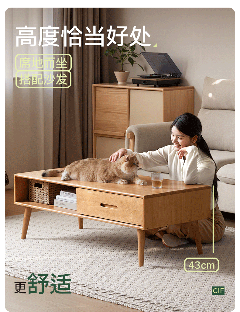 Solid RubberWood Coffee Table with Storage and Modern Aesthetic