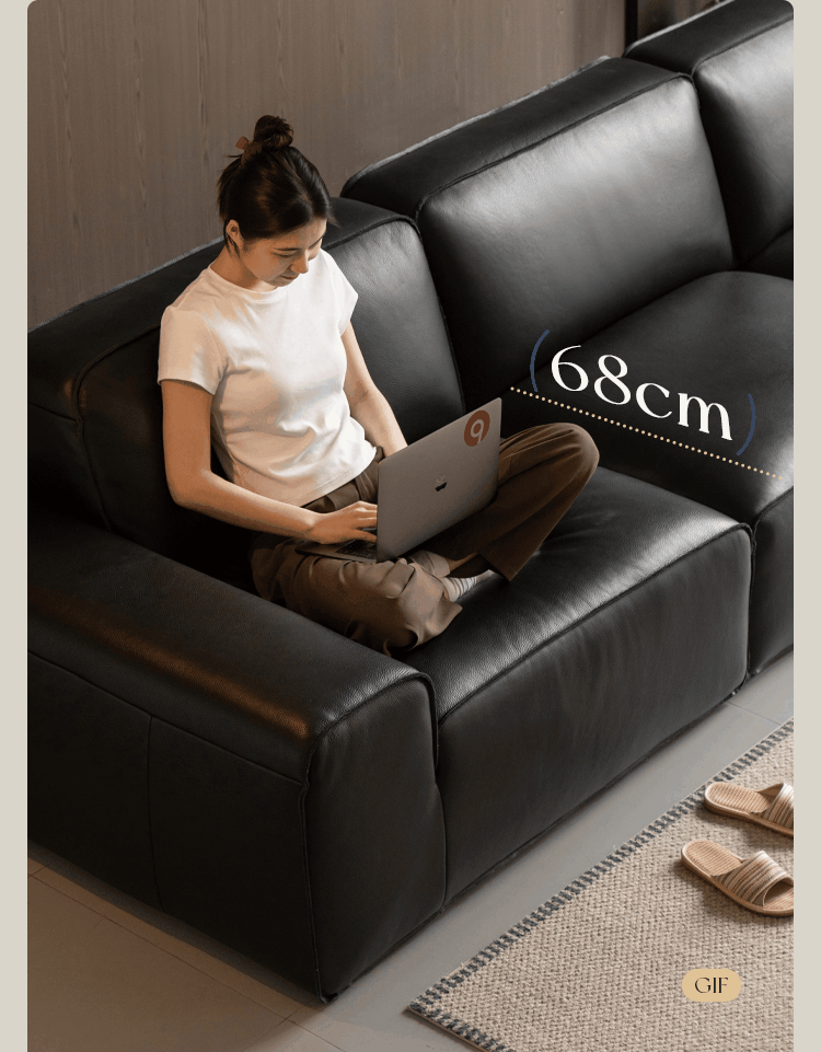 Full Grain Genuine Leather Sofa Contemporary Couch