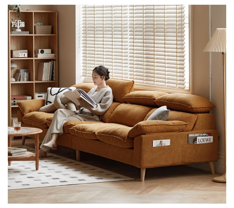 Ash Fabric Sofa Living Room