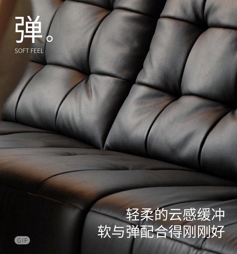 Pine Solid Wood Big Black Functional Leather Sofa