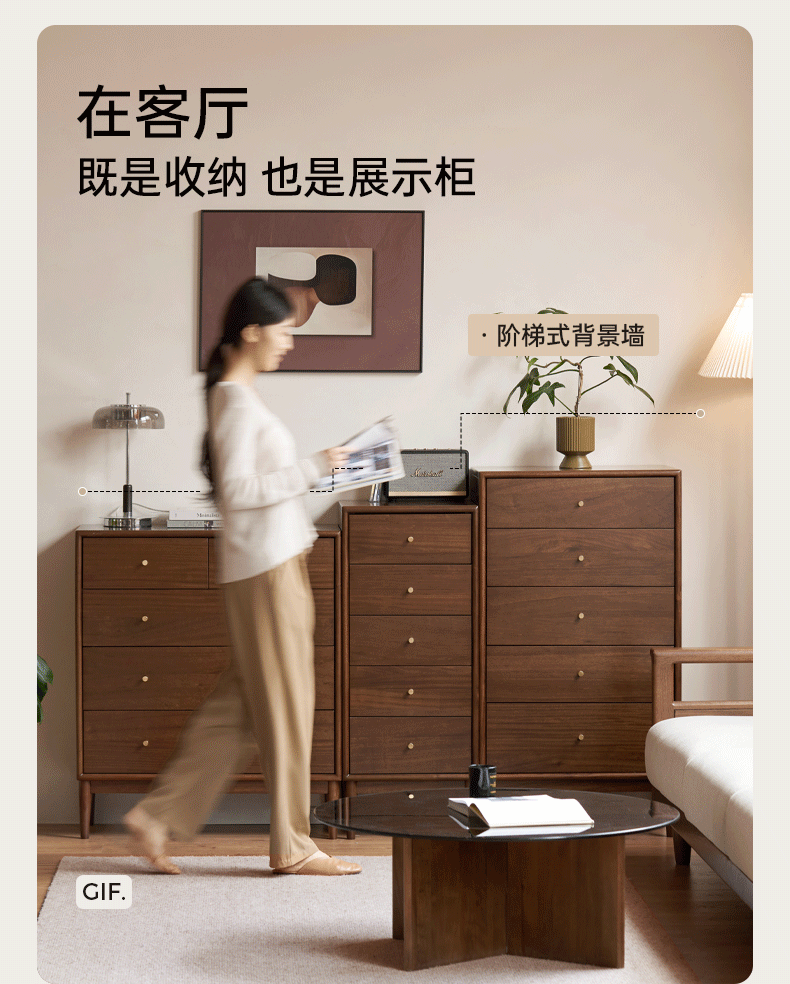 Red Zebrawood Solid Wood Modern Minimalist Chest of Drawers