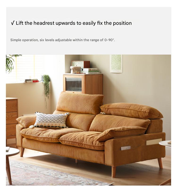 Ash Fabric Sofa Living Room