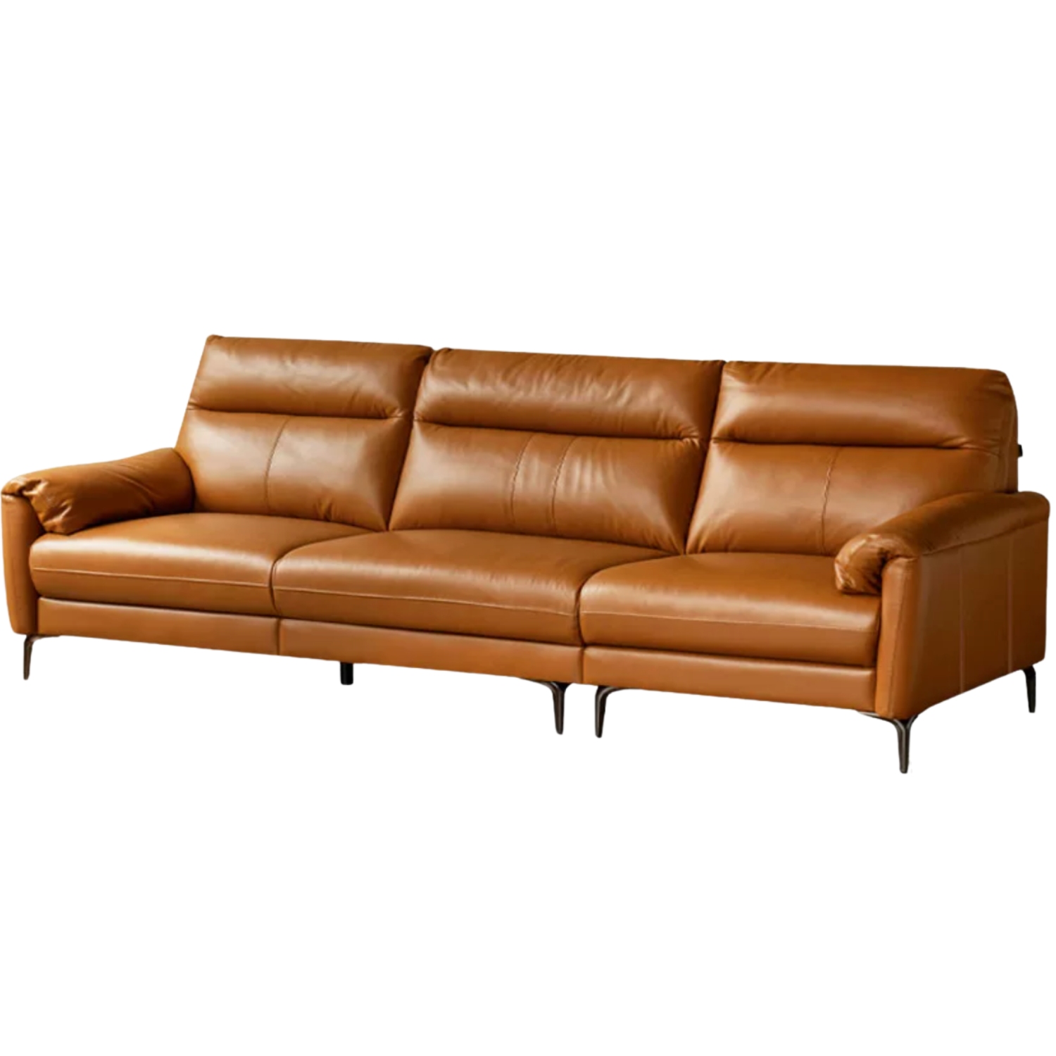Genuine Leather Italian Normcore Modern Sofa