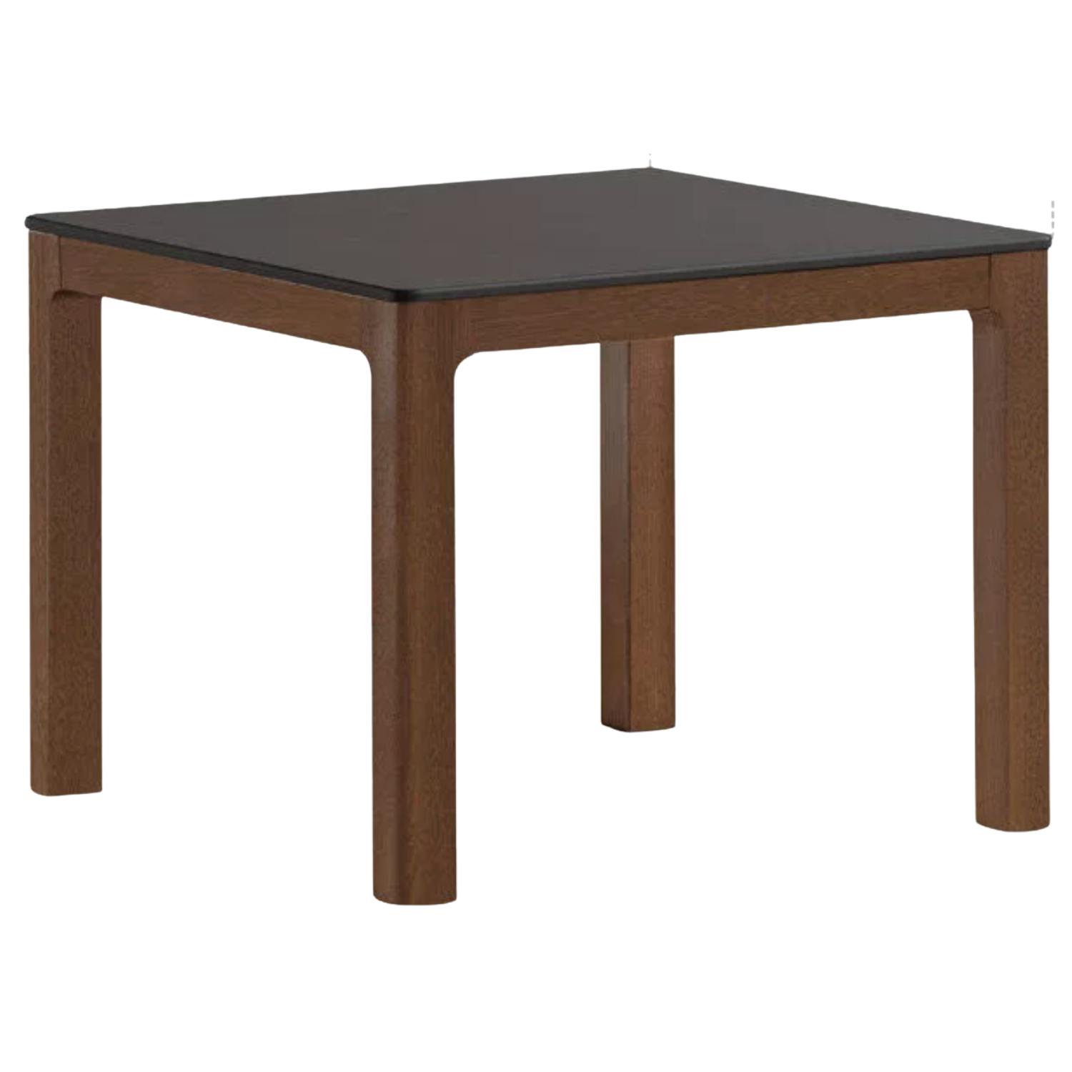 Black Walnut, Oak, Catalpa Solid Wood Movable Rock Plate Coffee Table