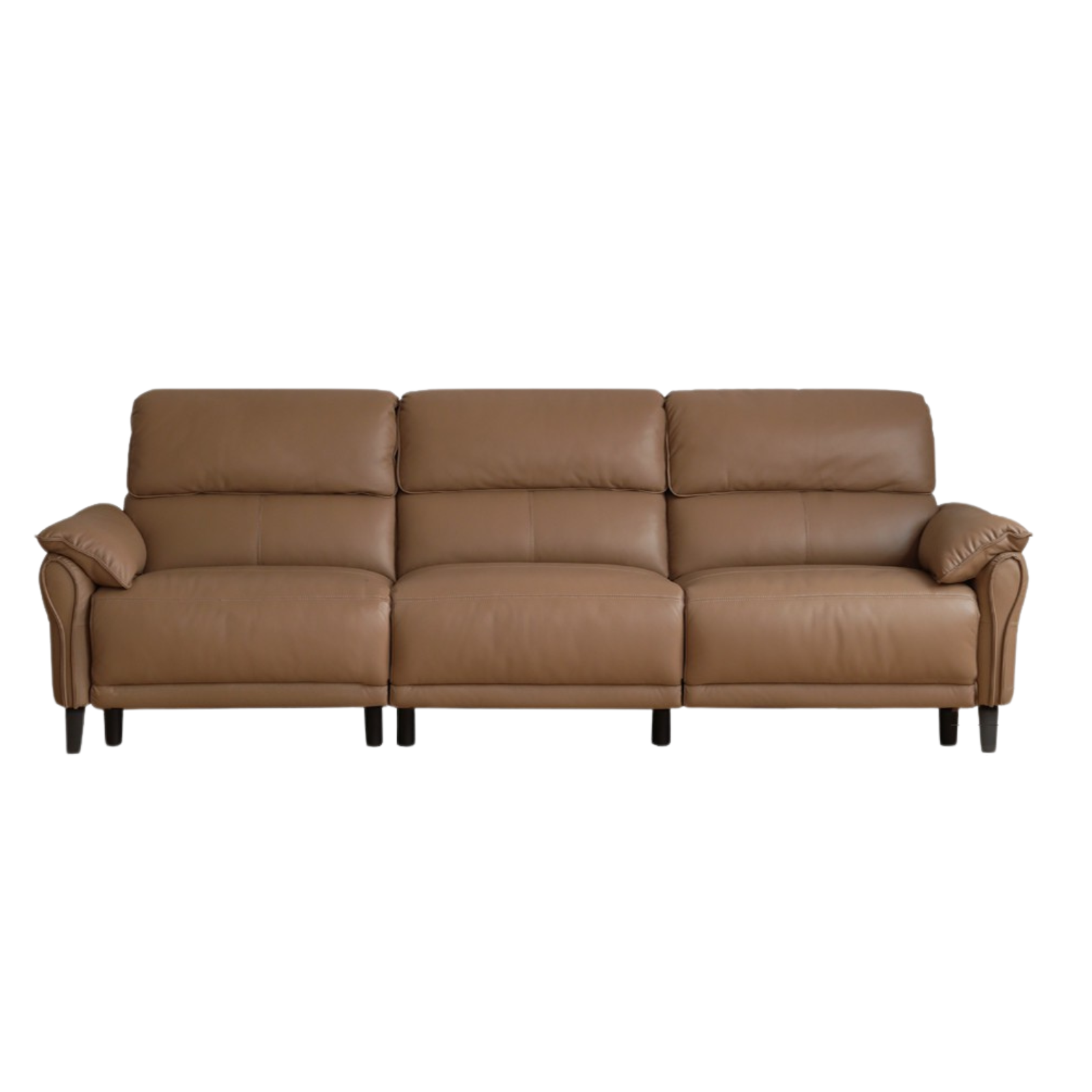 Leather modern simple cowhide down sofa