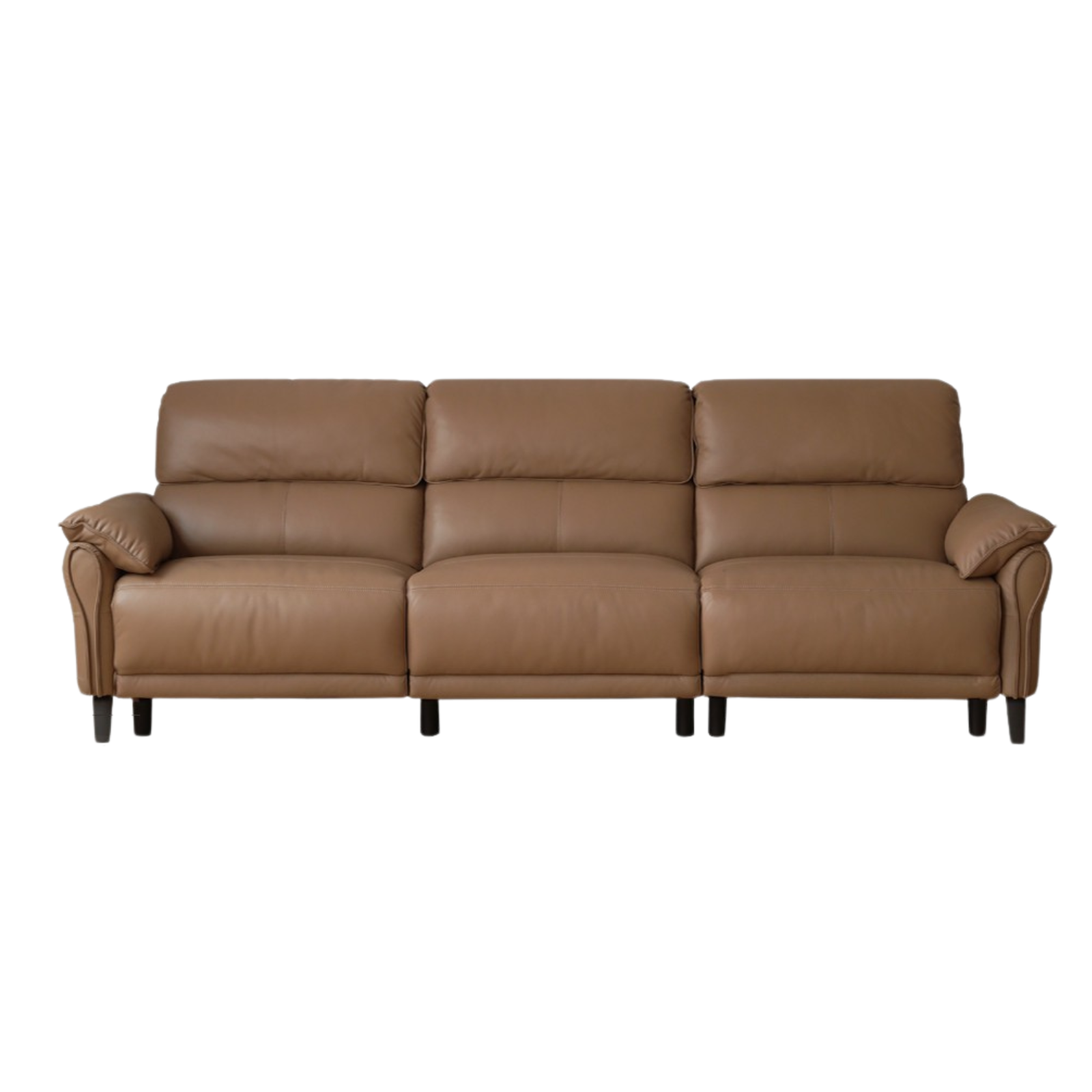 Leather modern simple cowhide down sofa