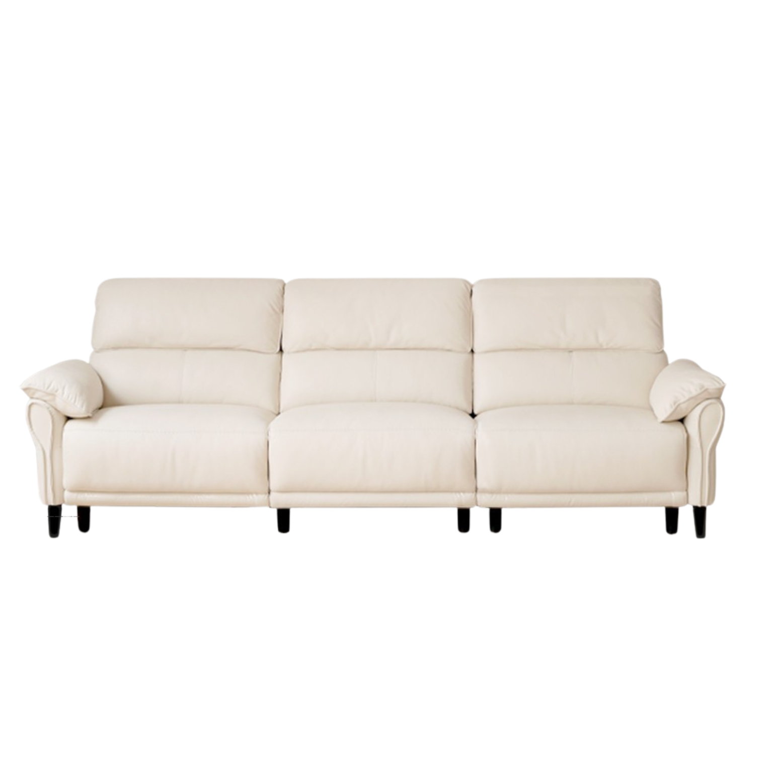 Leather modern simple cowhide down sofa