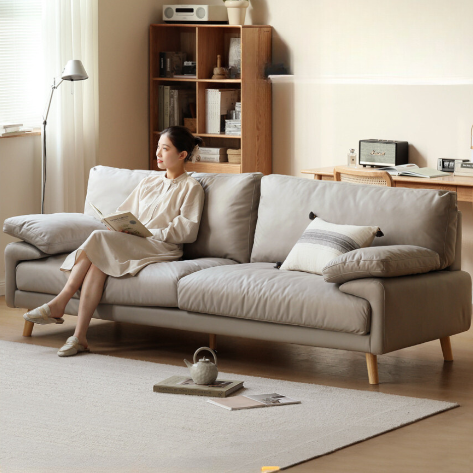 Technology cloth sofa modern+