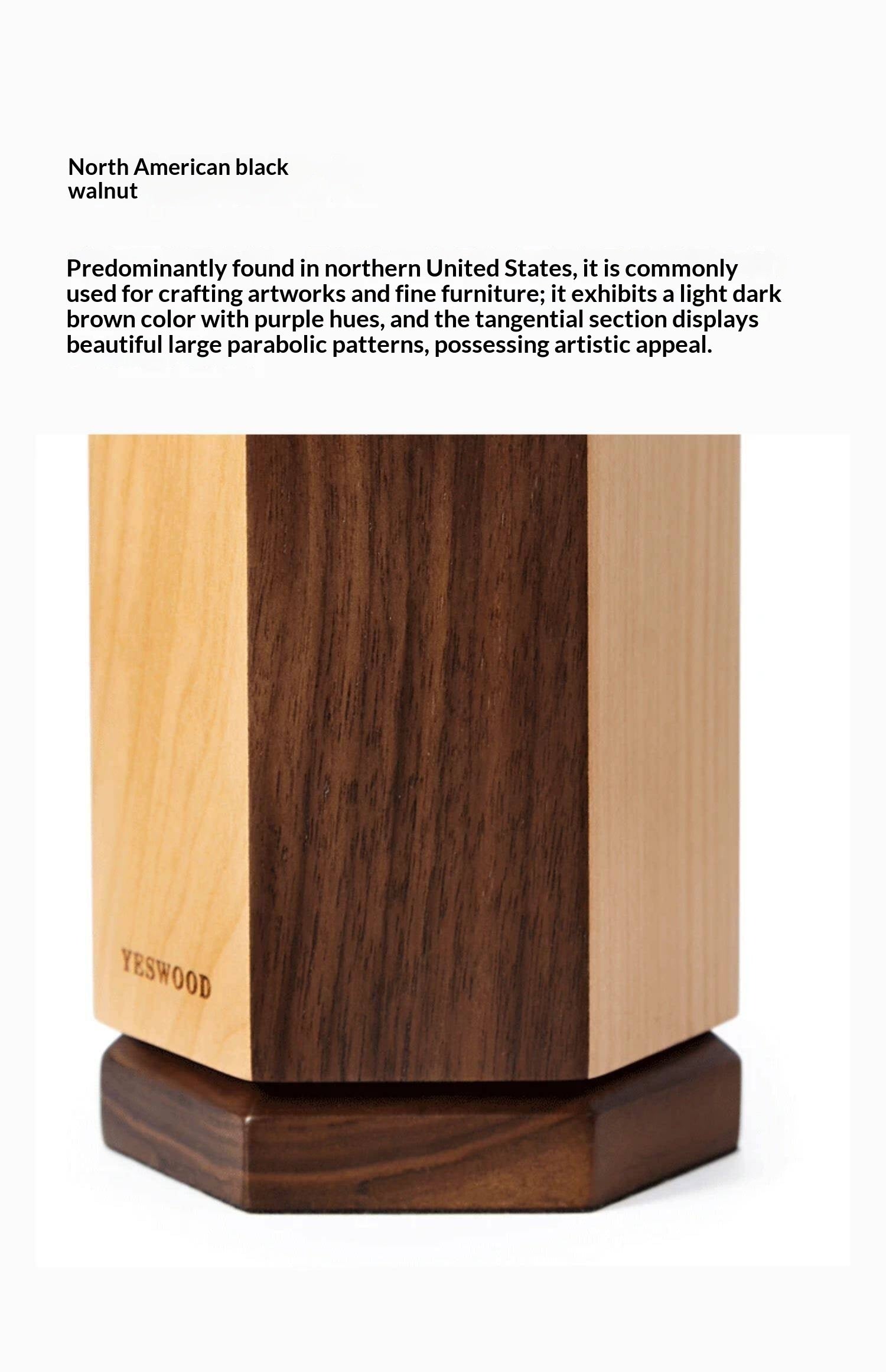 Black Walnut, Maple Solid Wood Rotating Pen Holder