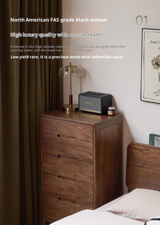 Black Walnut Solid Wood Modern Nordic Style Side Cabinet