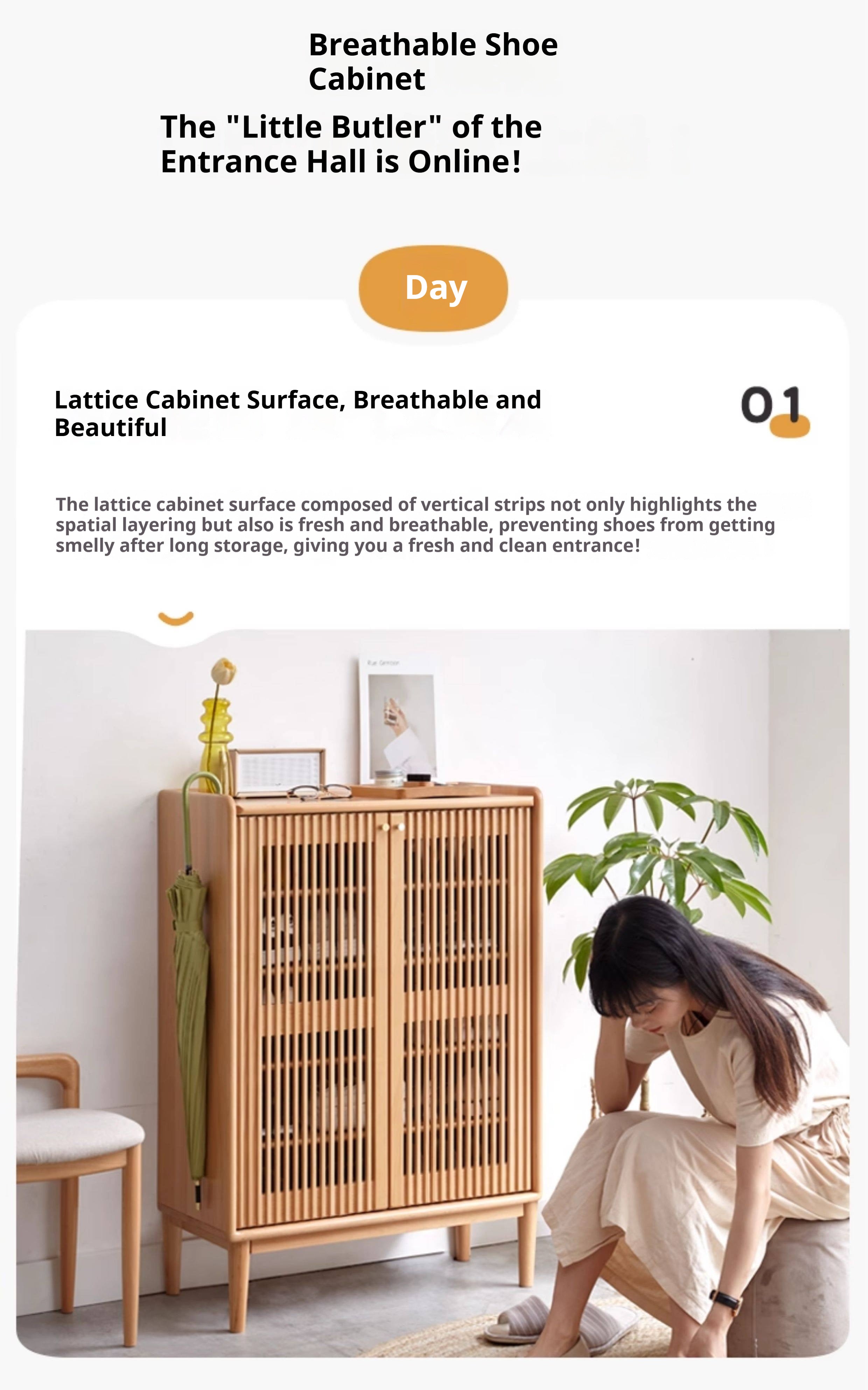Beech Solid Wood Modern Shoe Cabinet