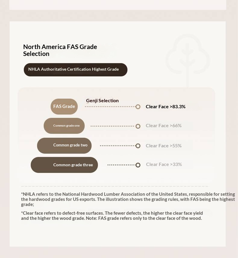 Ash Solid Wood High Backrest Large Bed