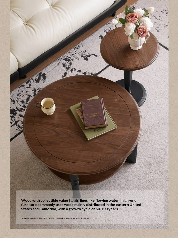 Black Walnut Solid Wood American Retro Coffee Table