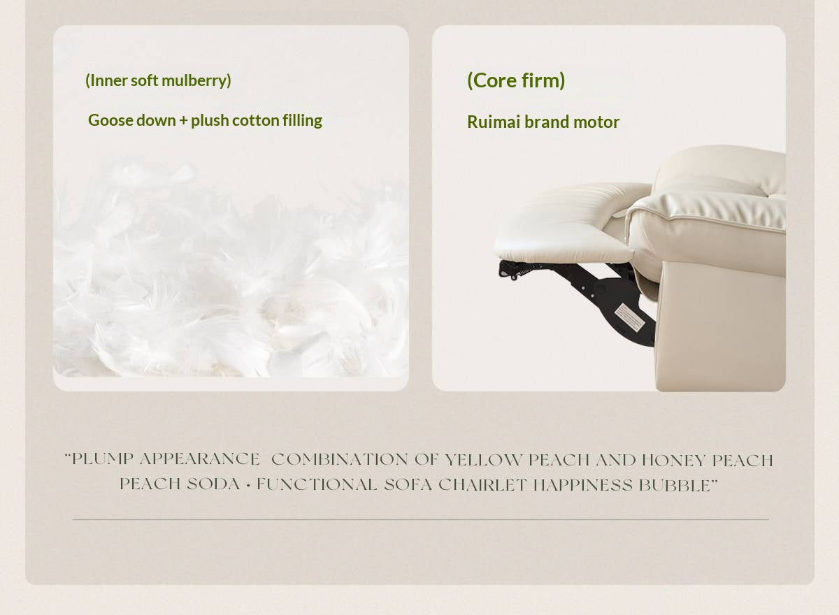 Recliner Modern Casual Single Chair 240° rotation