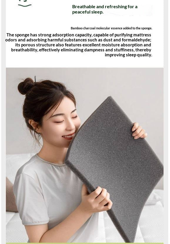 Natural Coconut Palm Hard Mattress with Latex and Simmons Spring