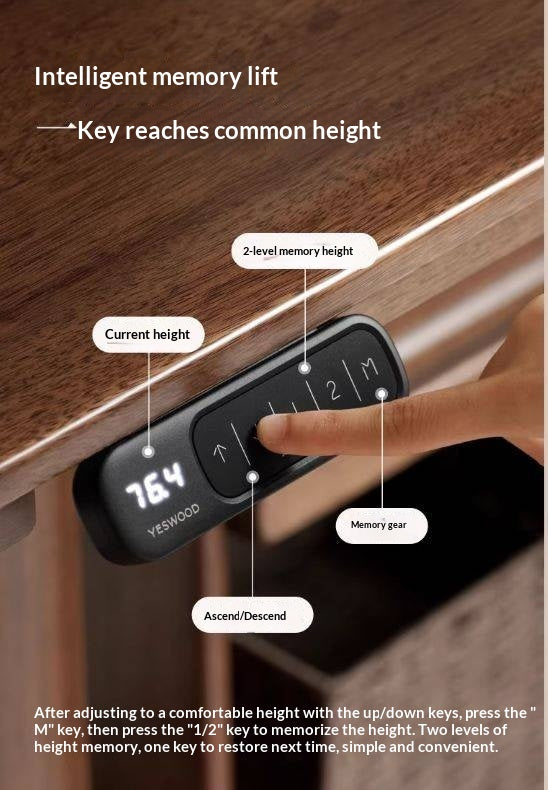 Solid Longan Hardwood Electric Lift Standing Desk with Adjustable Height